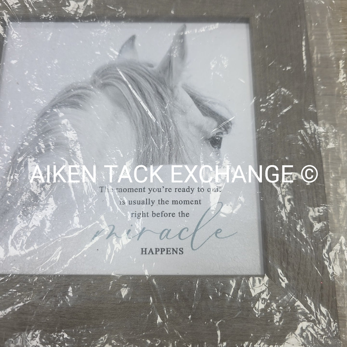 Horse Wall Art