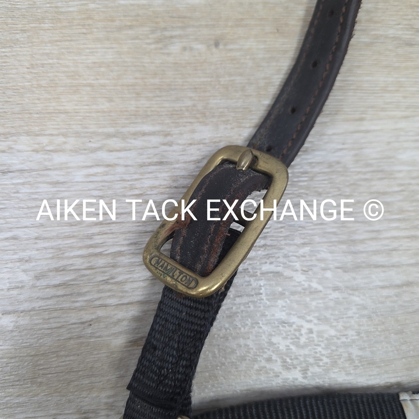 BARGAIN BUNDLE: 2 Nylon Breakaway Halters, Size Weanling / Pony