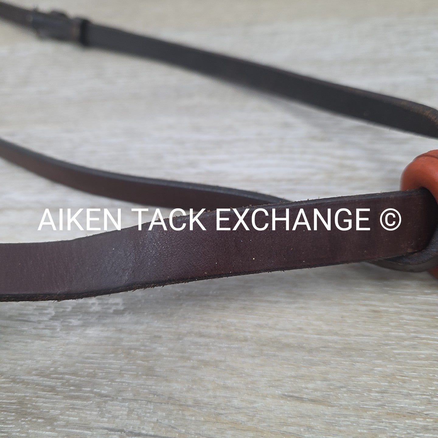 Courbette Standing Martingale, Brown, Size Cob