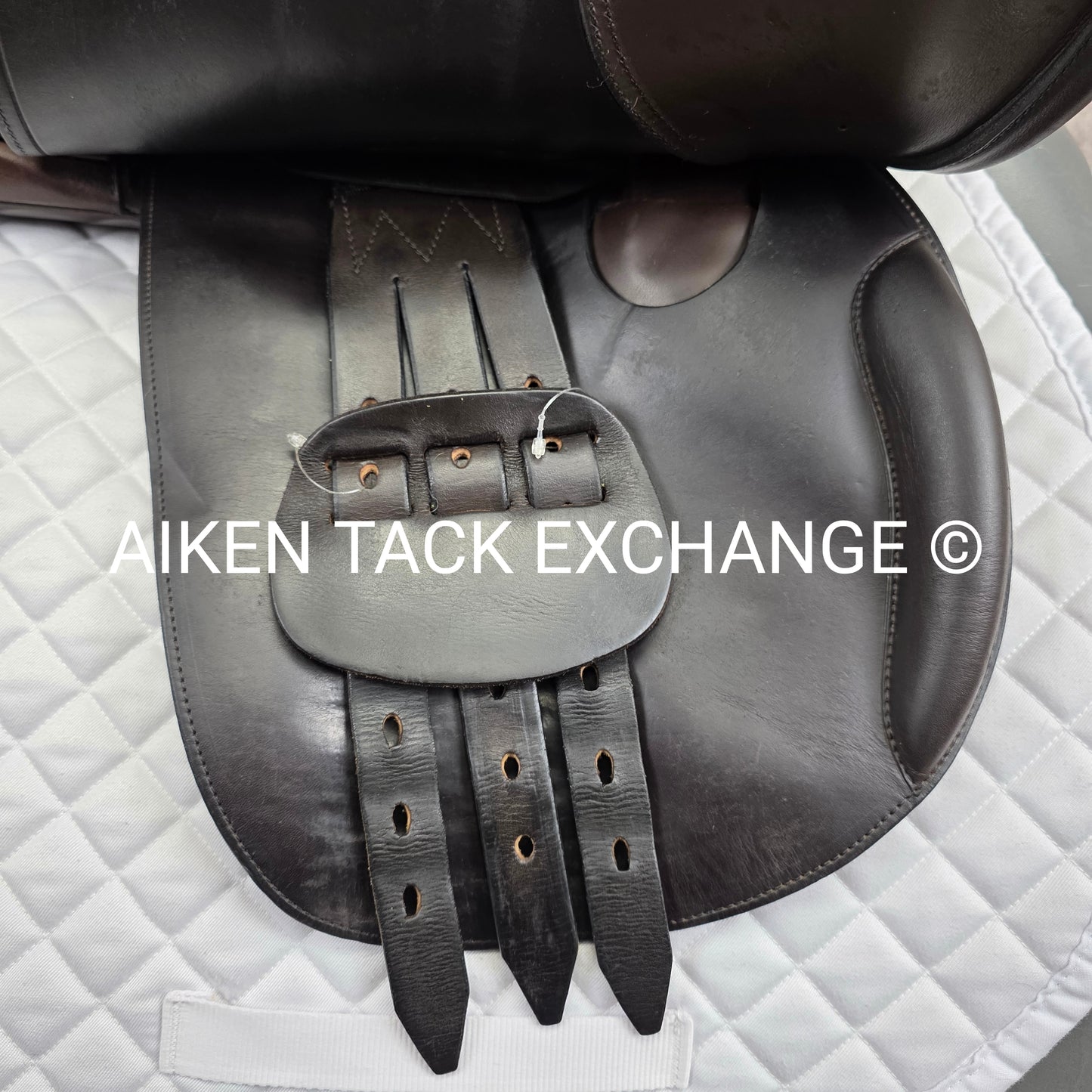 **SOLD** 2002 Schleese Leslie Jump Saddle, 17.5" Seat, Medium Wide Tree, Wool Flocked Panels