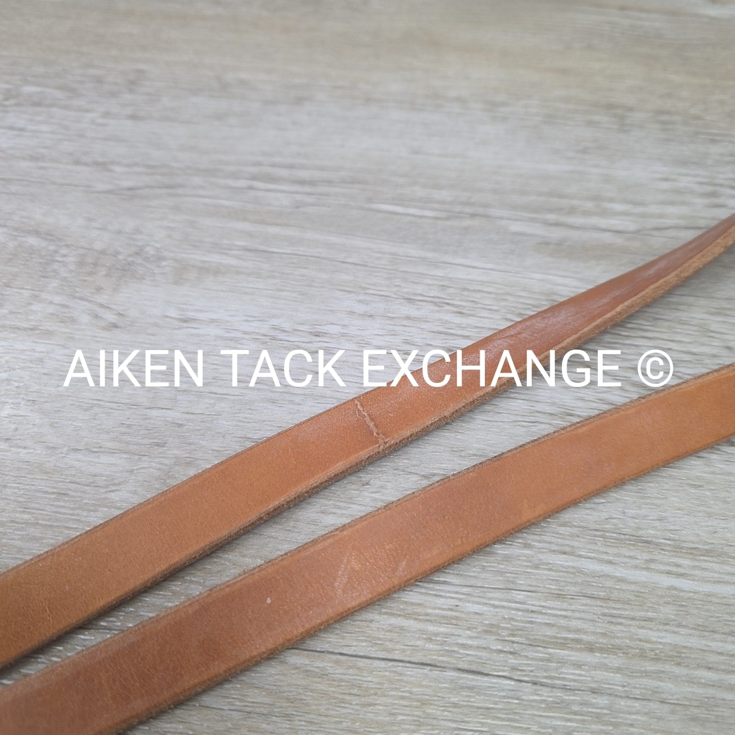 Flat Leather Reins with Snap Ends
