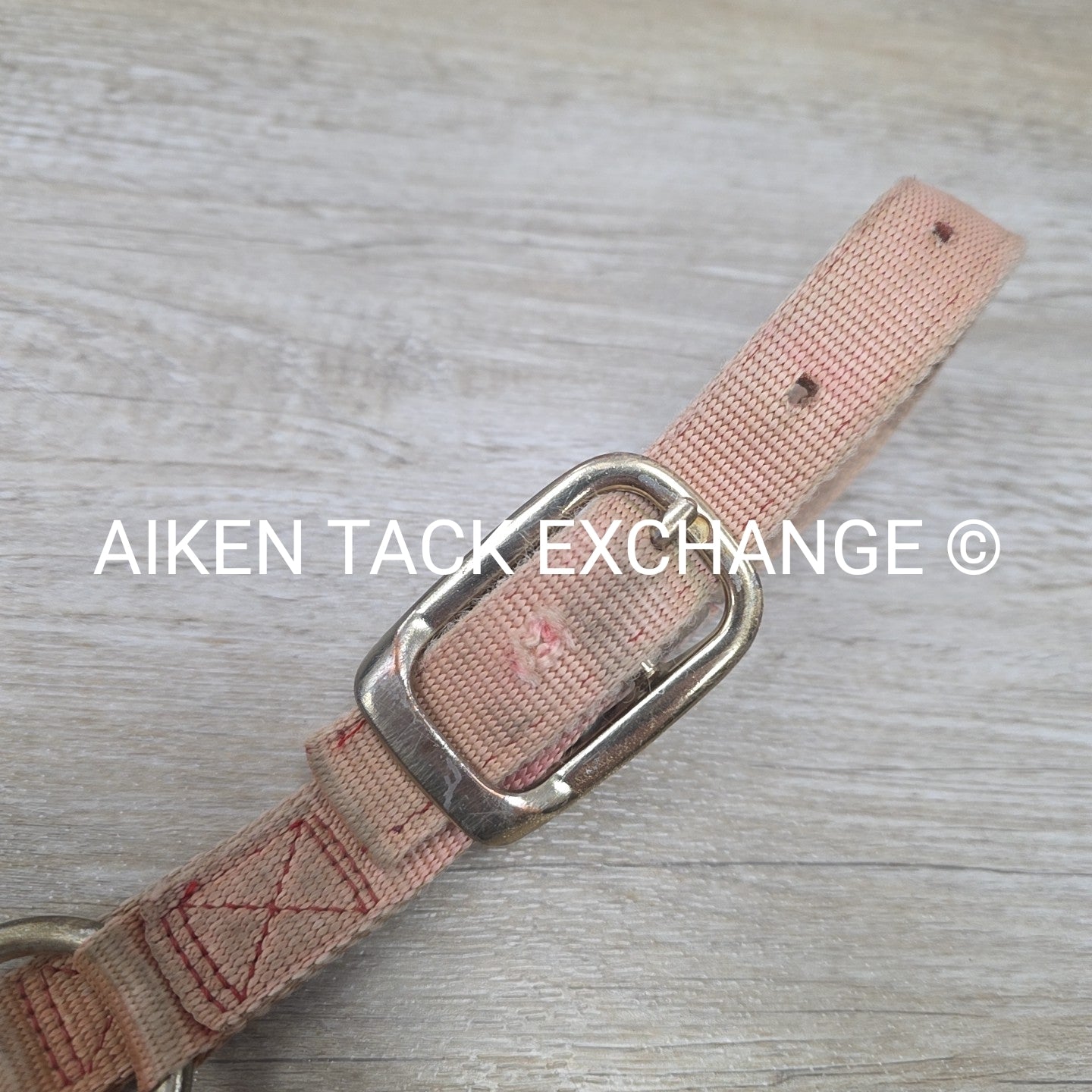 BARGAIN BUNDLE: Nylon Halter, Size Small with Lead Rope