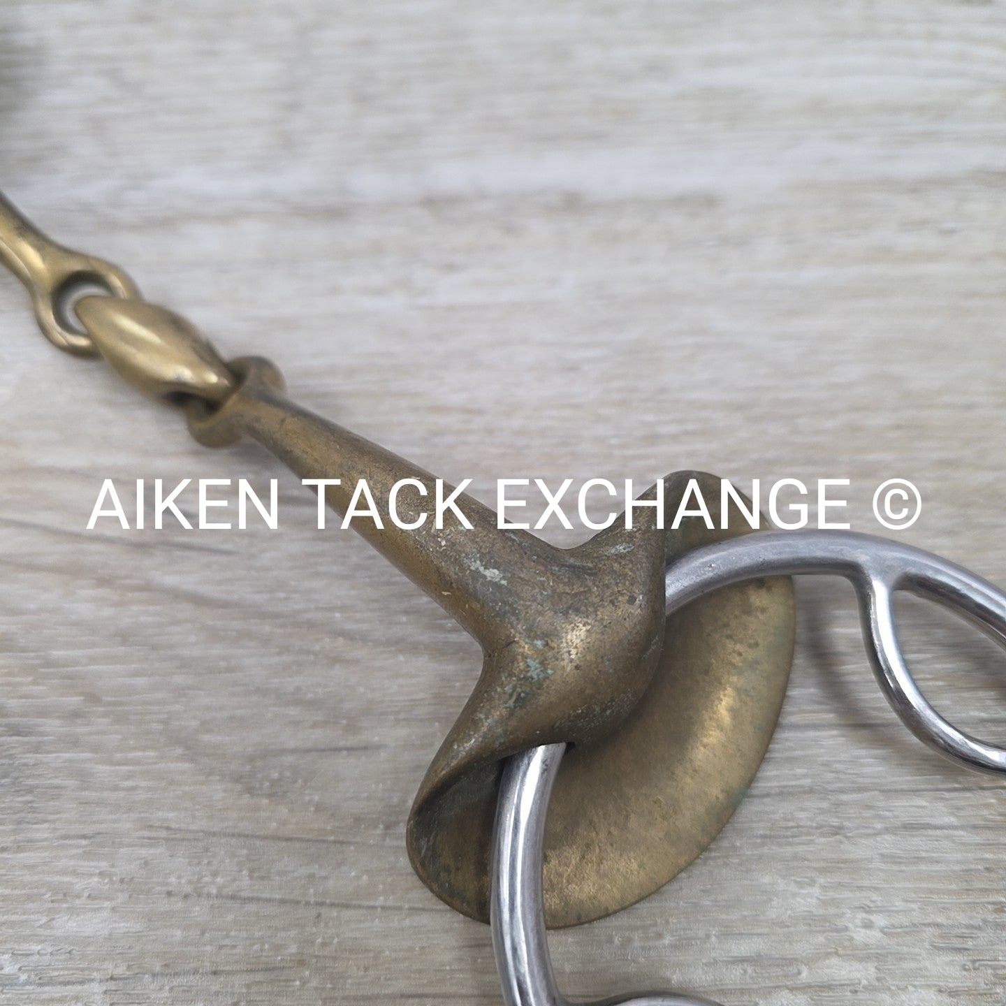 Stubben Golden Wings Double Joint Beval Loop Gag Bit 5.75"