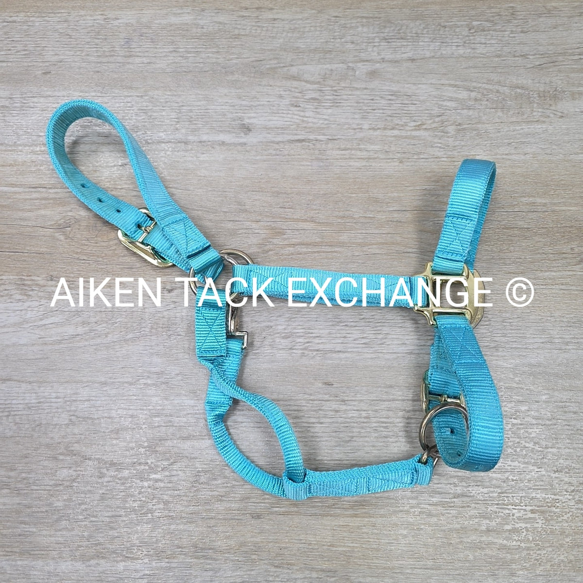 Nylon Halter, Size Cob