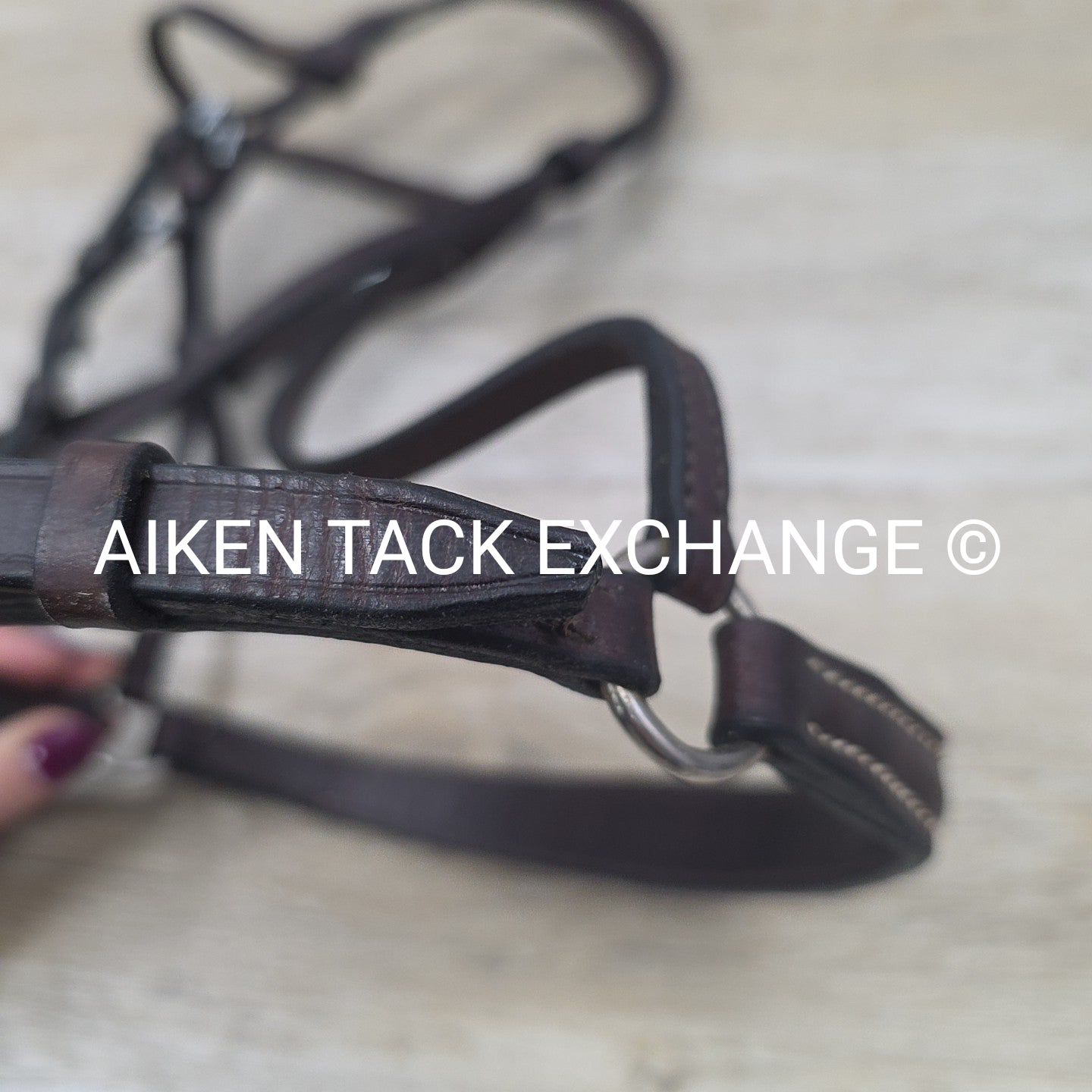 Plain Bridle with Drop Noseband, No Reins, Brown, Size Cob