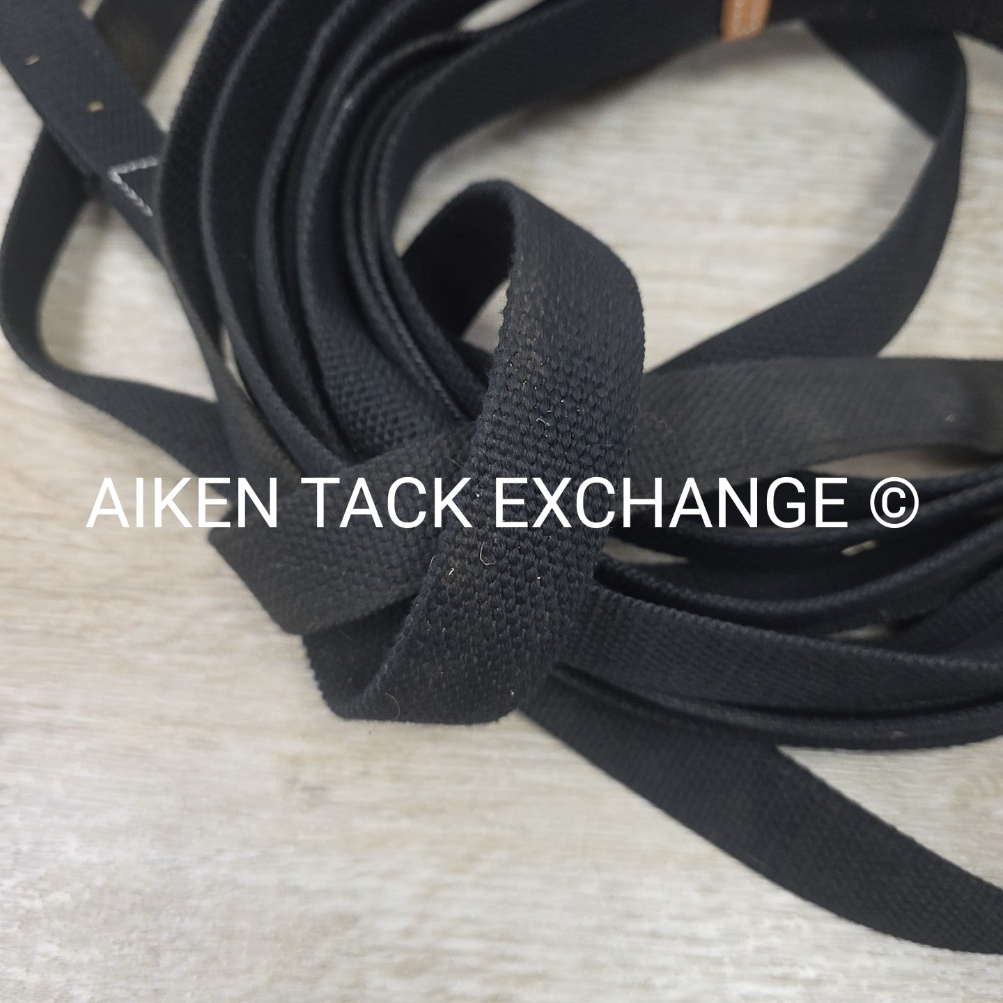 Centaur Web Lunge Line with Donut, 35'