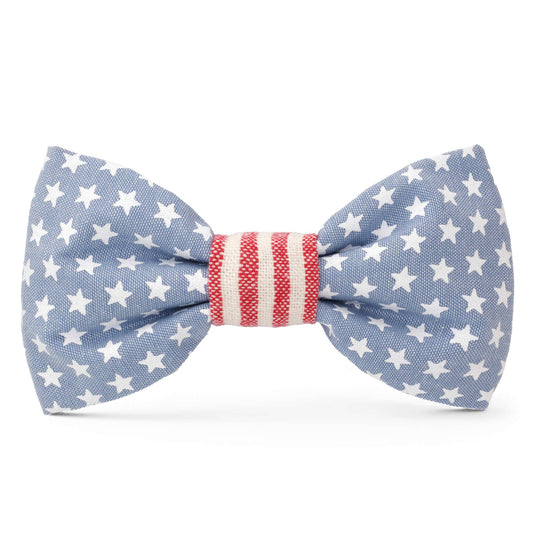 Stars and Stripes Summer Memorial Day Dog Bow Tie: Large