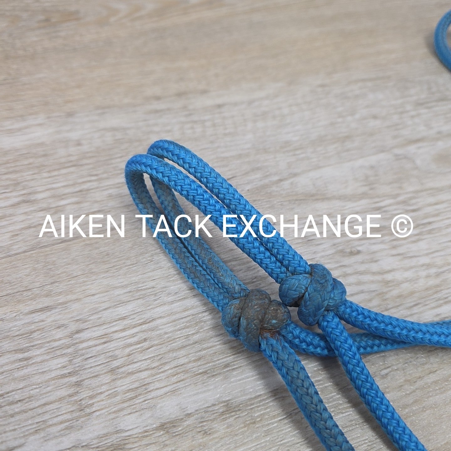 Parelli Rope Halter with Matching 12 ft Training Rope