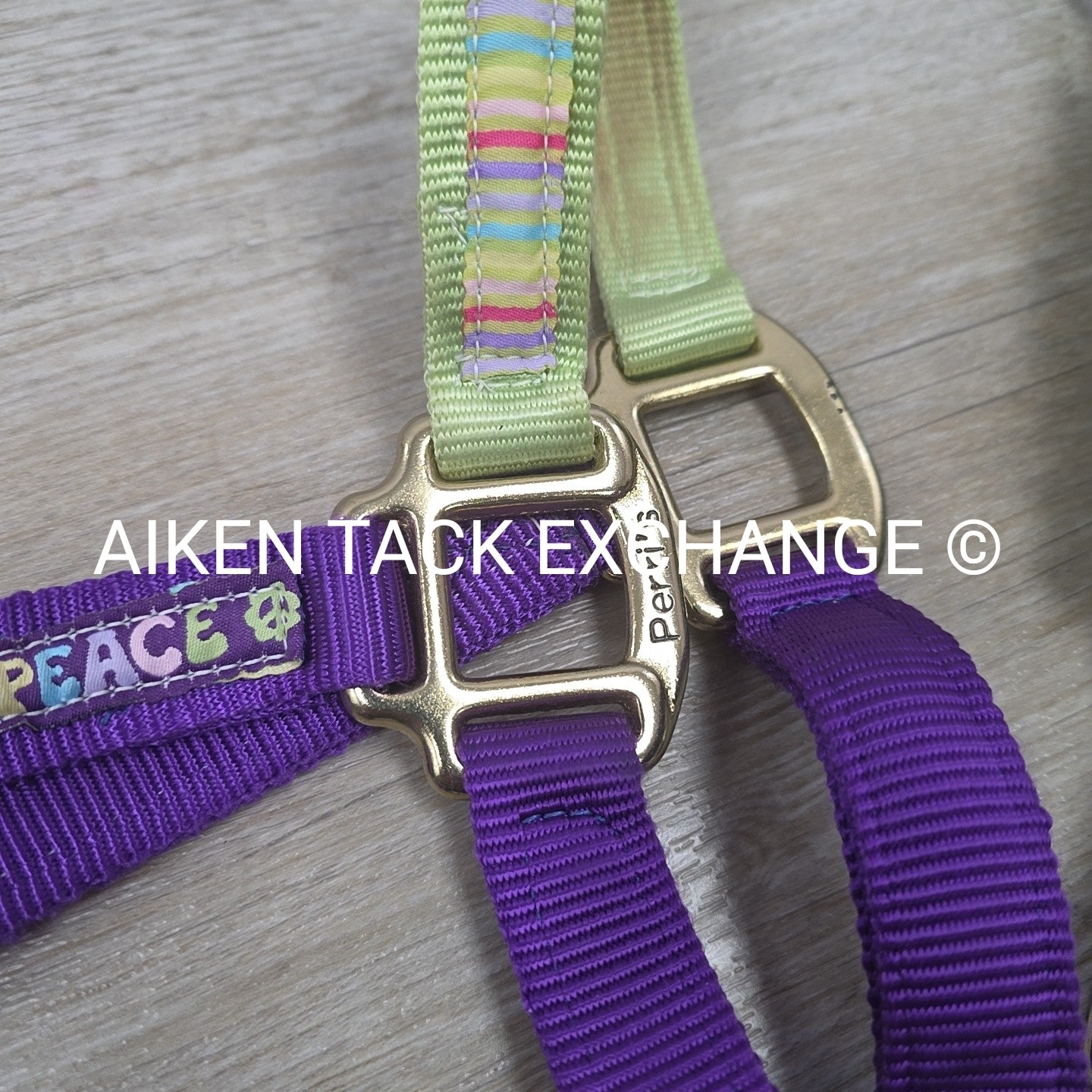 Perri's Nylon Breakaway Halter w/ Cotton Lead Rope, Size Cob