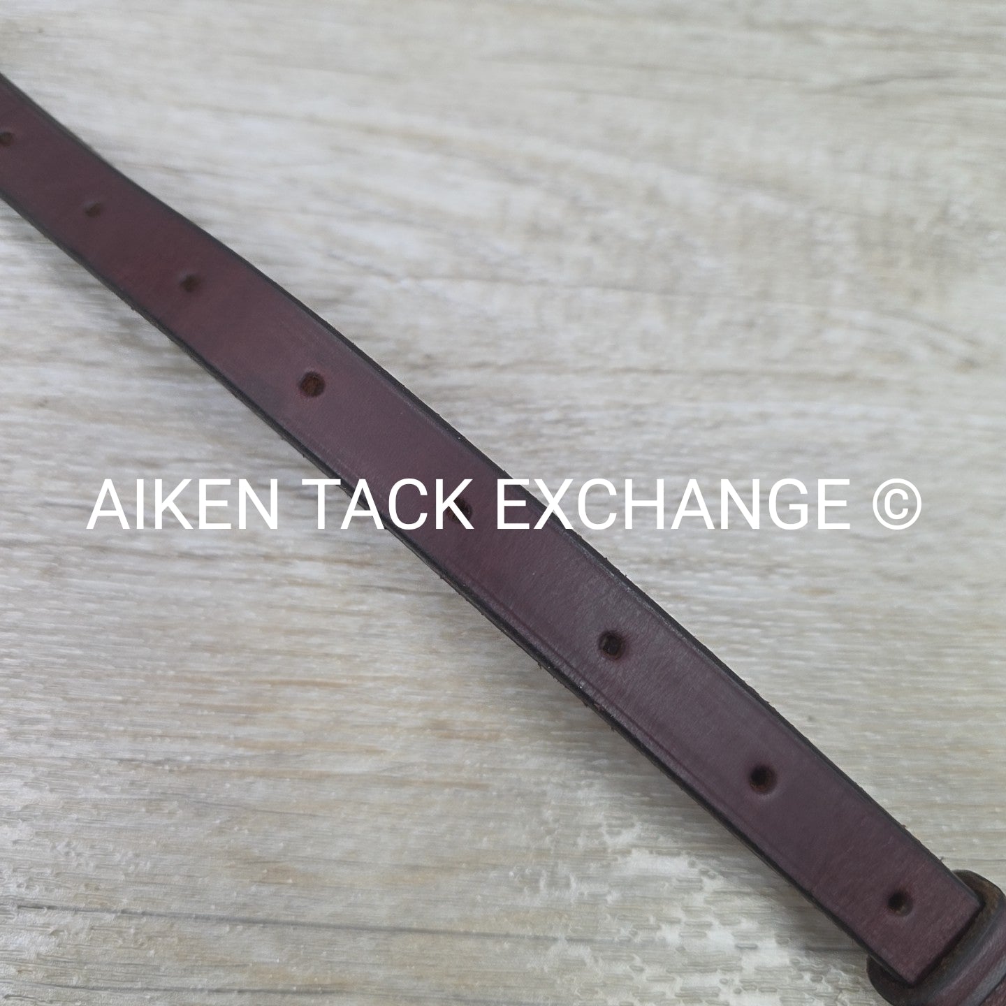 Fancy Stitched Raised Standing Martingale. Brown, Size Full