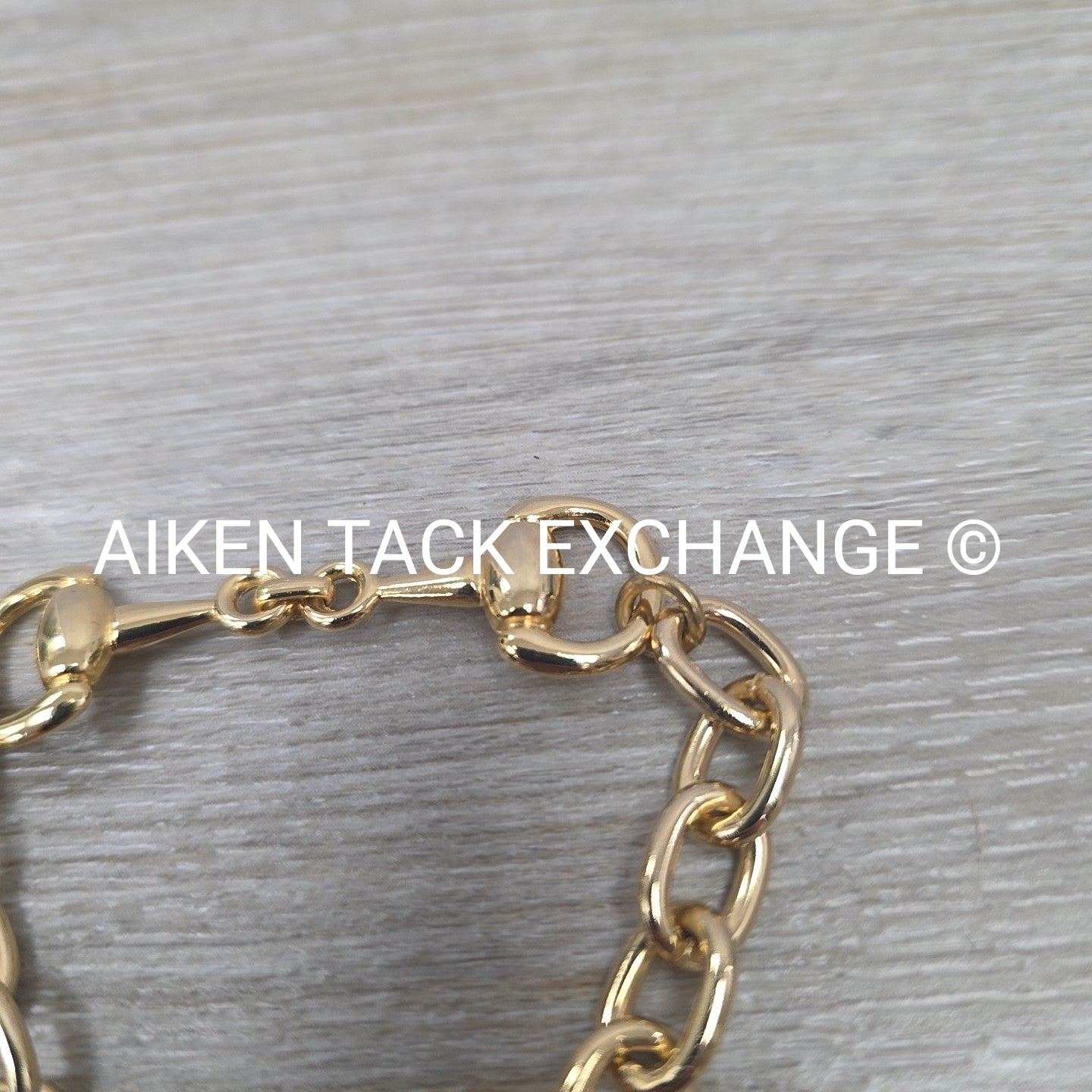 Snaffle Bit Chain Bracelet
