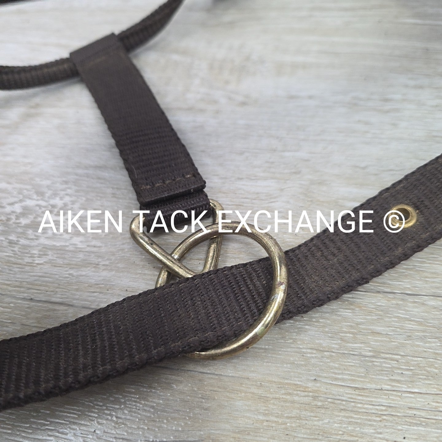 Nylon Halter, Size Cob