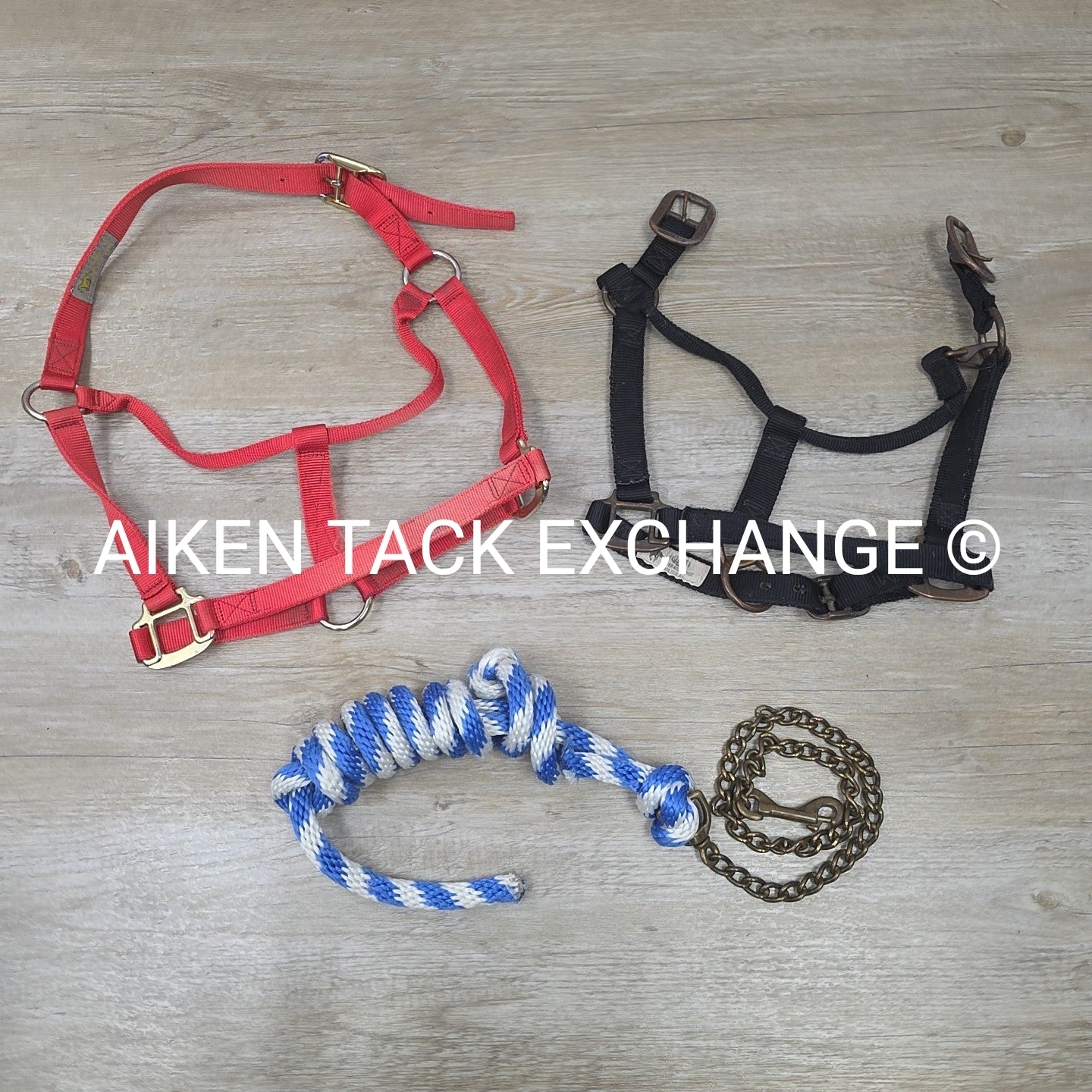 BARGAIN BUNDLE: Nylon Halter, Large, Nylon Halter Missing Crown, Full & Lead Rop
