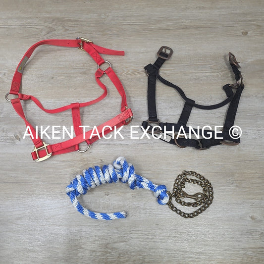 BARGAIN BUNDLE: Nylon Halter, Large, Nylon Halter Missing Crown, Full & Lead Rop