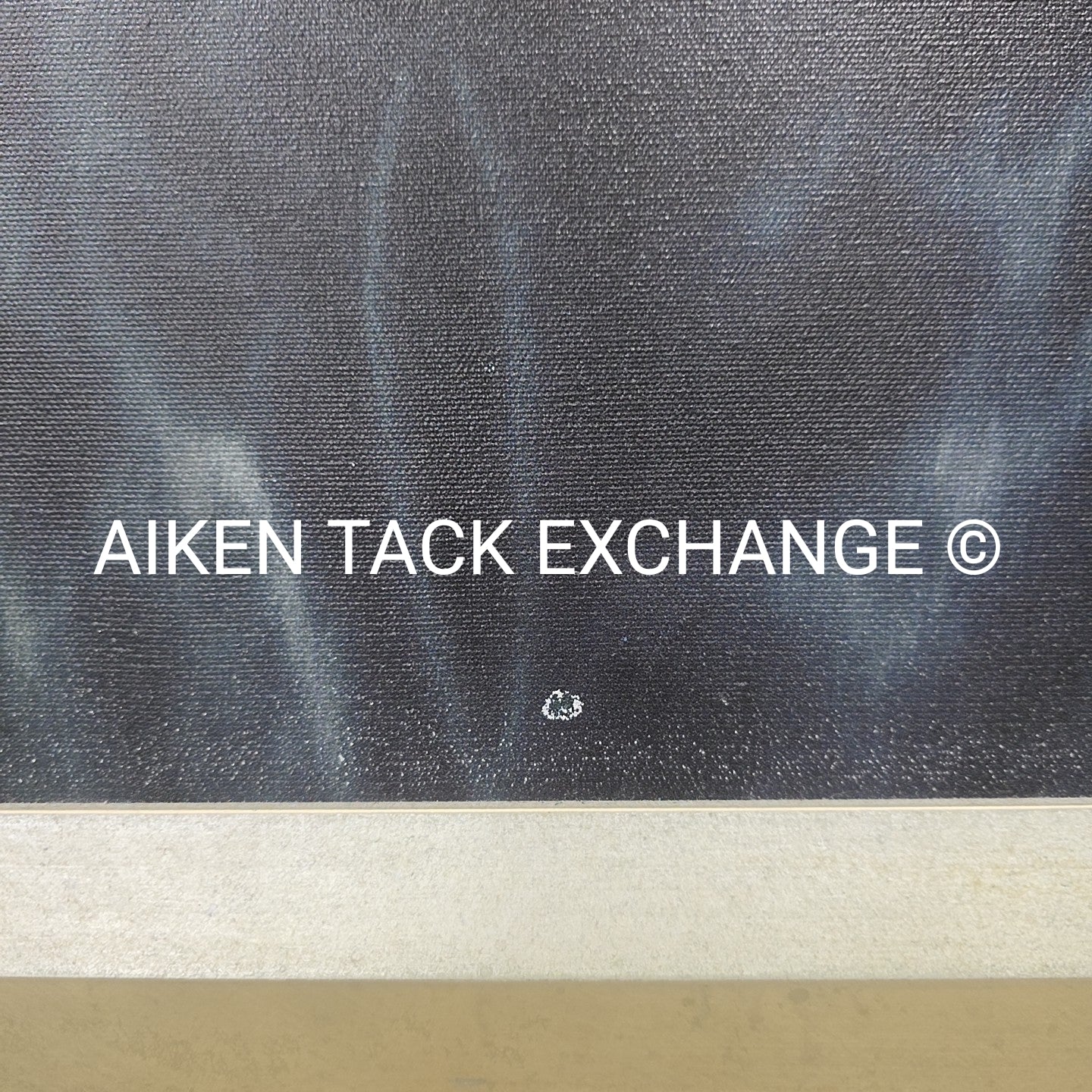 Horse Print on Canvas, 25.5" x 31.5"