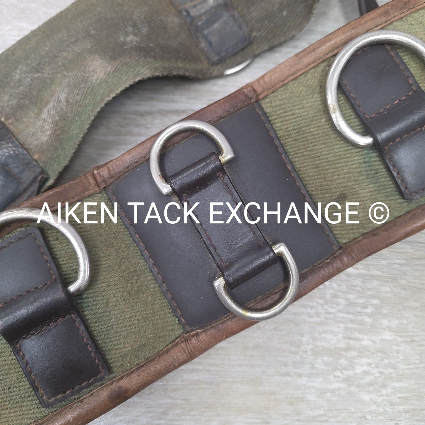 Dover Saddlery Classic Web Training Surcingle