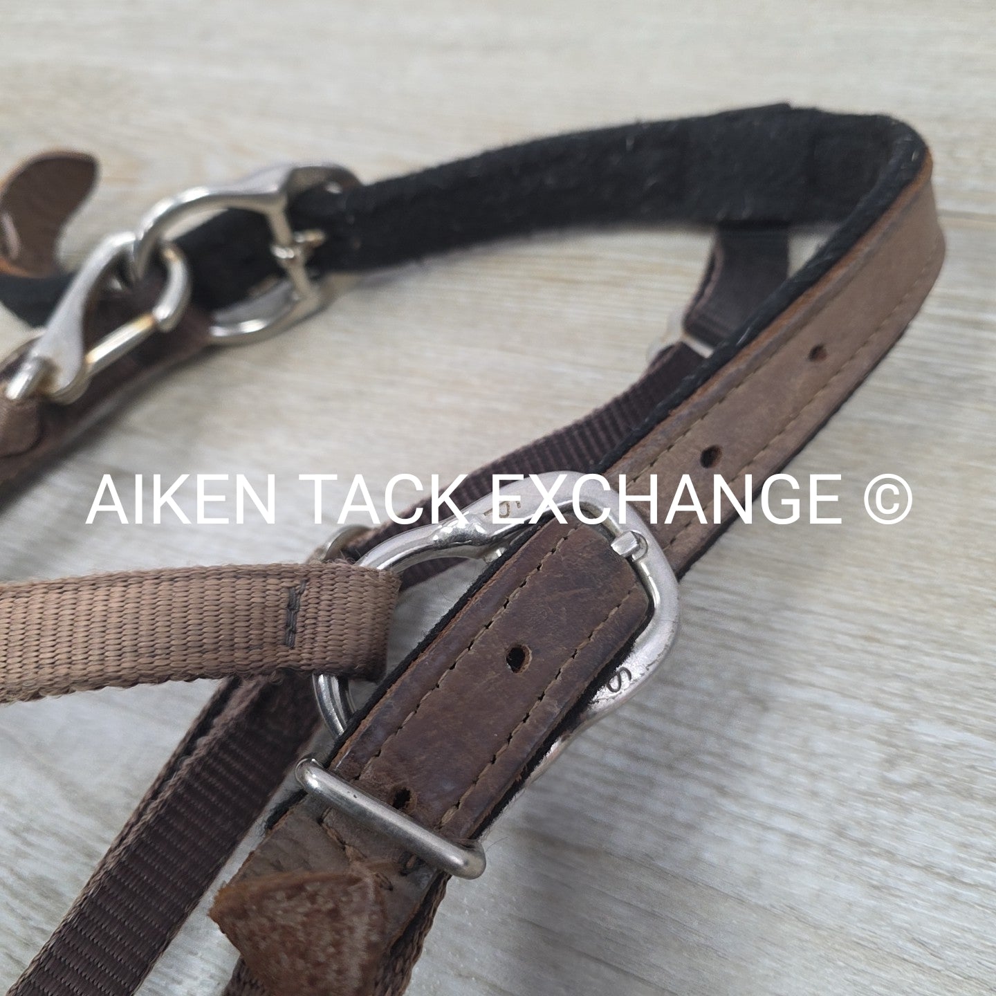 GreenGuard Premium Breakaway Halter, Cob
