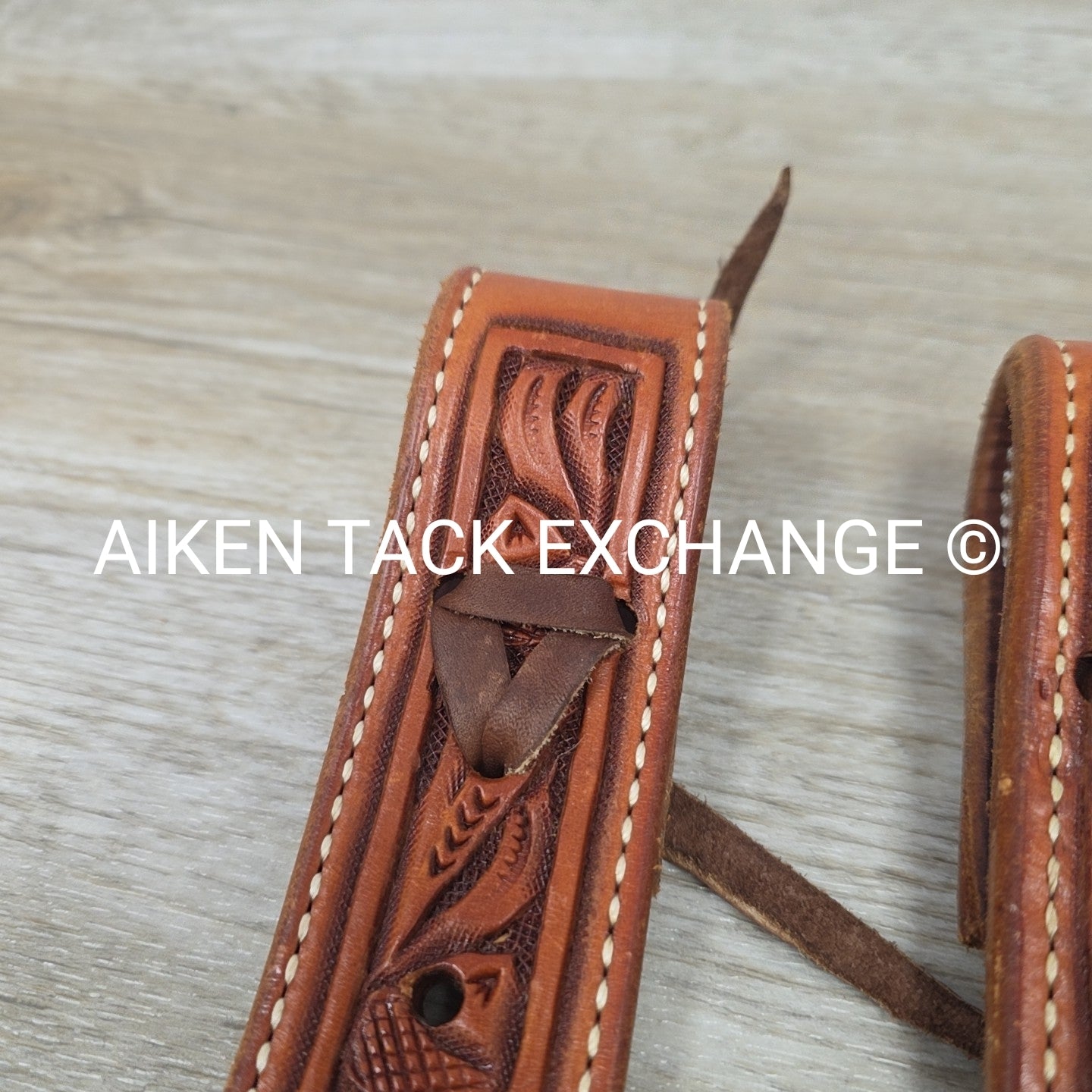 Rear Cinch Billets with Extenders