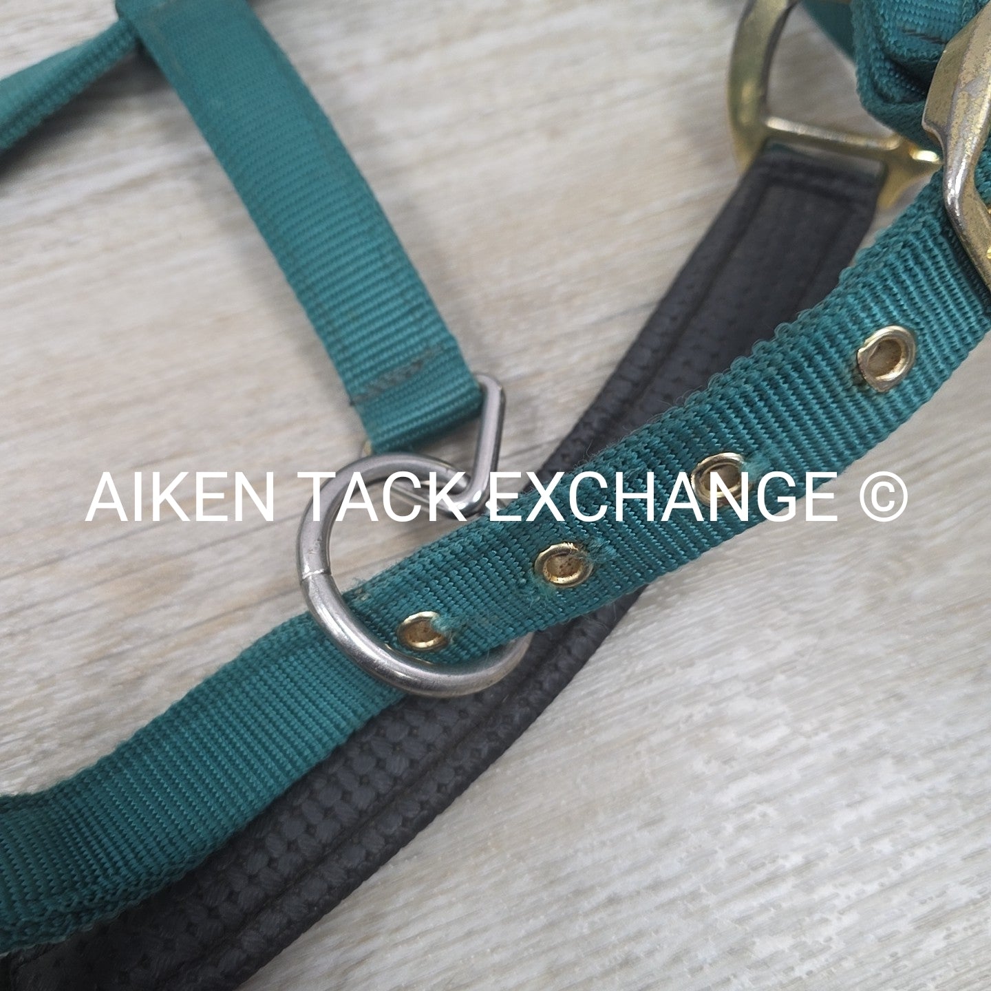 Hy Padded Nylon Halter, Size Full
