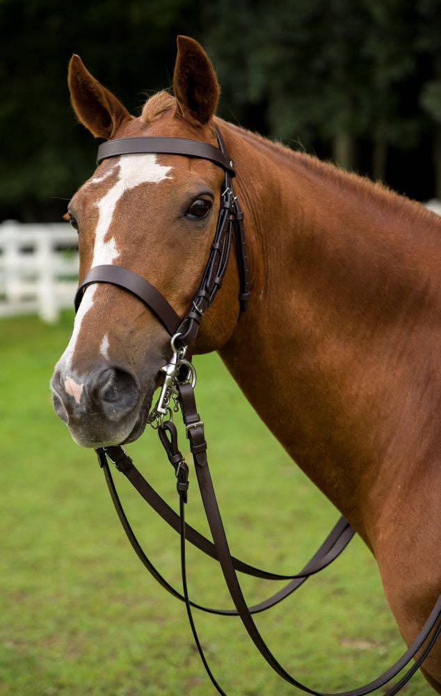 HENRI DE RIVEL POLO BRIDLE WITH DOUBLE REINS: Pony