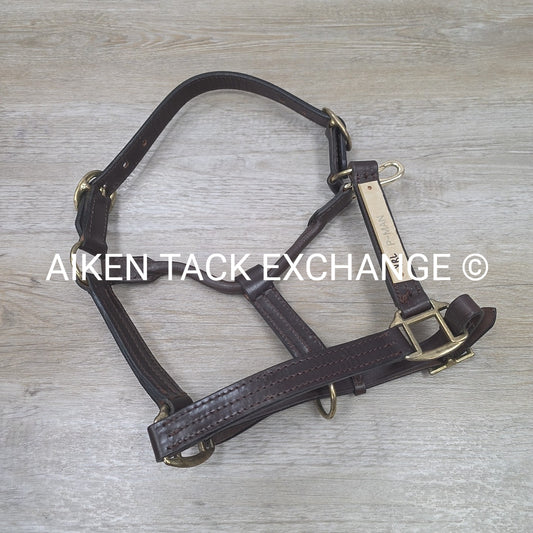 Leather Halter, Size Pony (has nameplate)