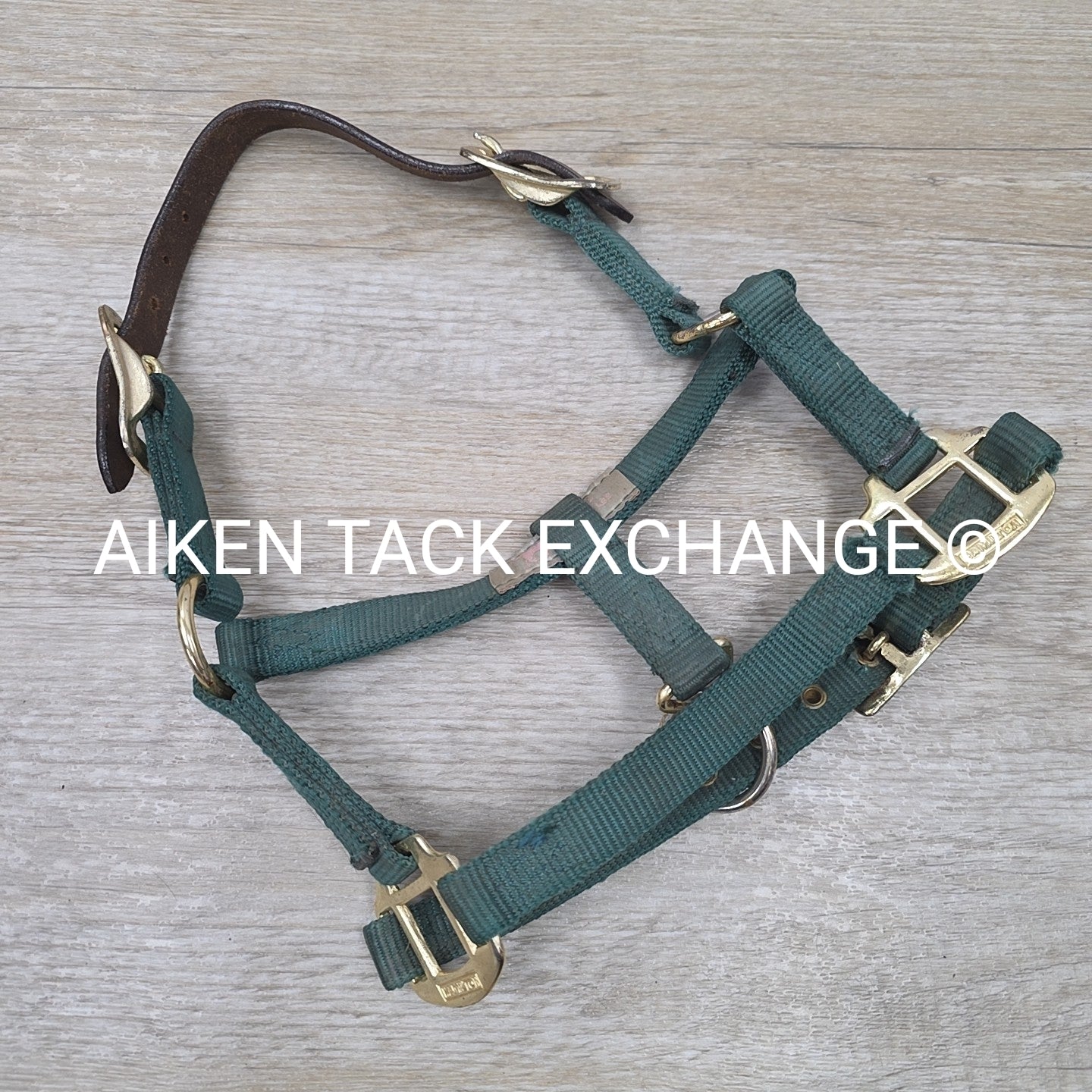 Hamilton Nylon Breakaway Halter, Size Foal