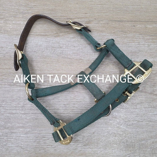 Hamilton Nylon Breakaway Halter, Size Foal