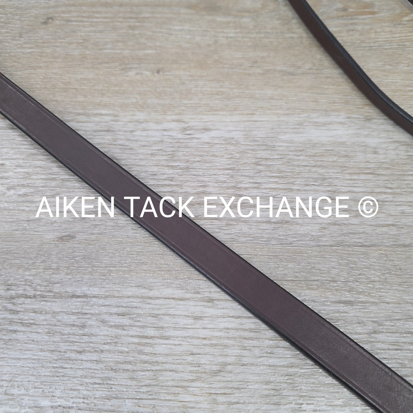 Hadfield Bridleworks Flat Standing Martingale, Size Extra Oversize