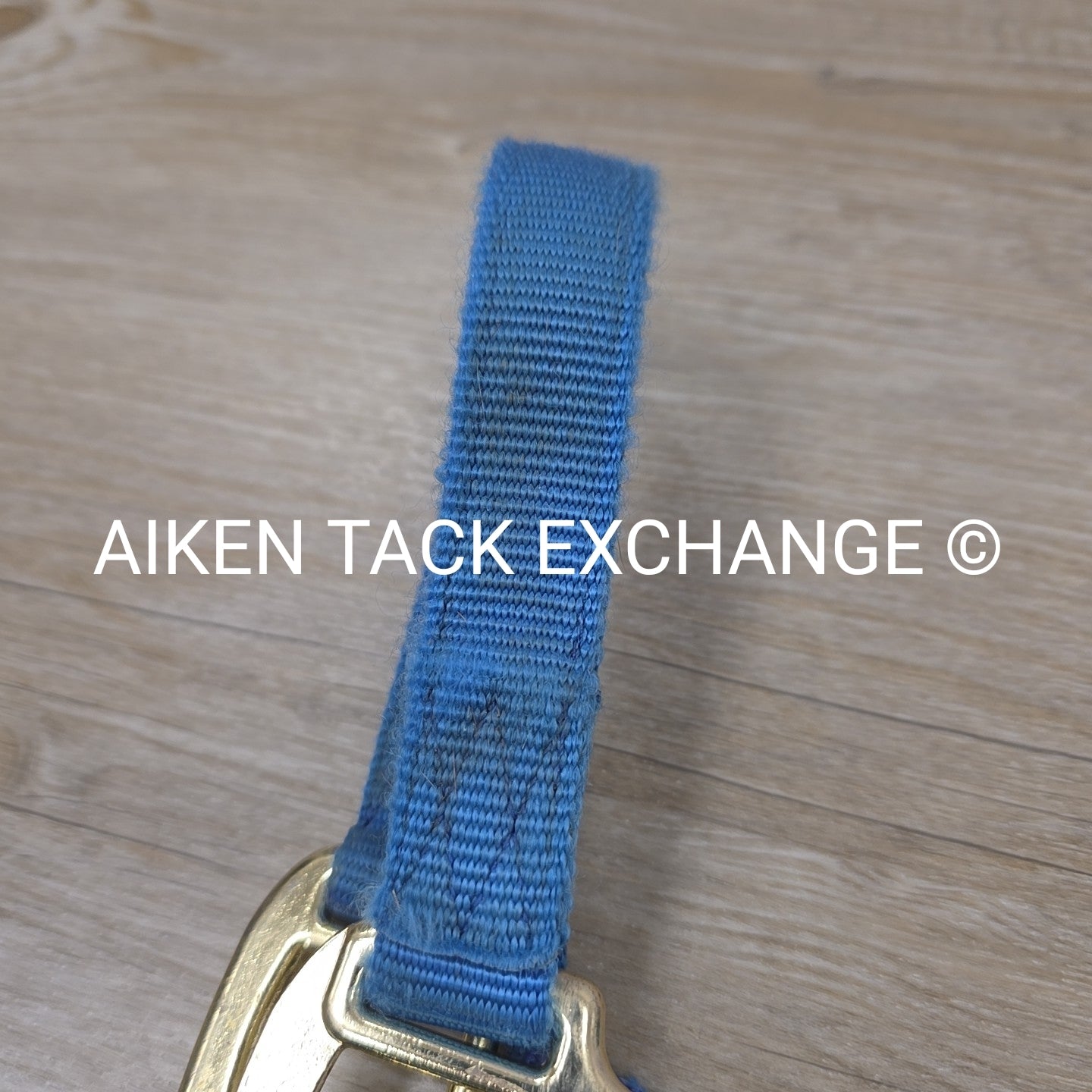 Nylon Breakaway Halter, Size Large