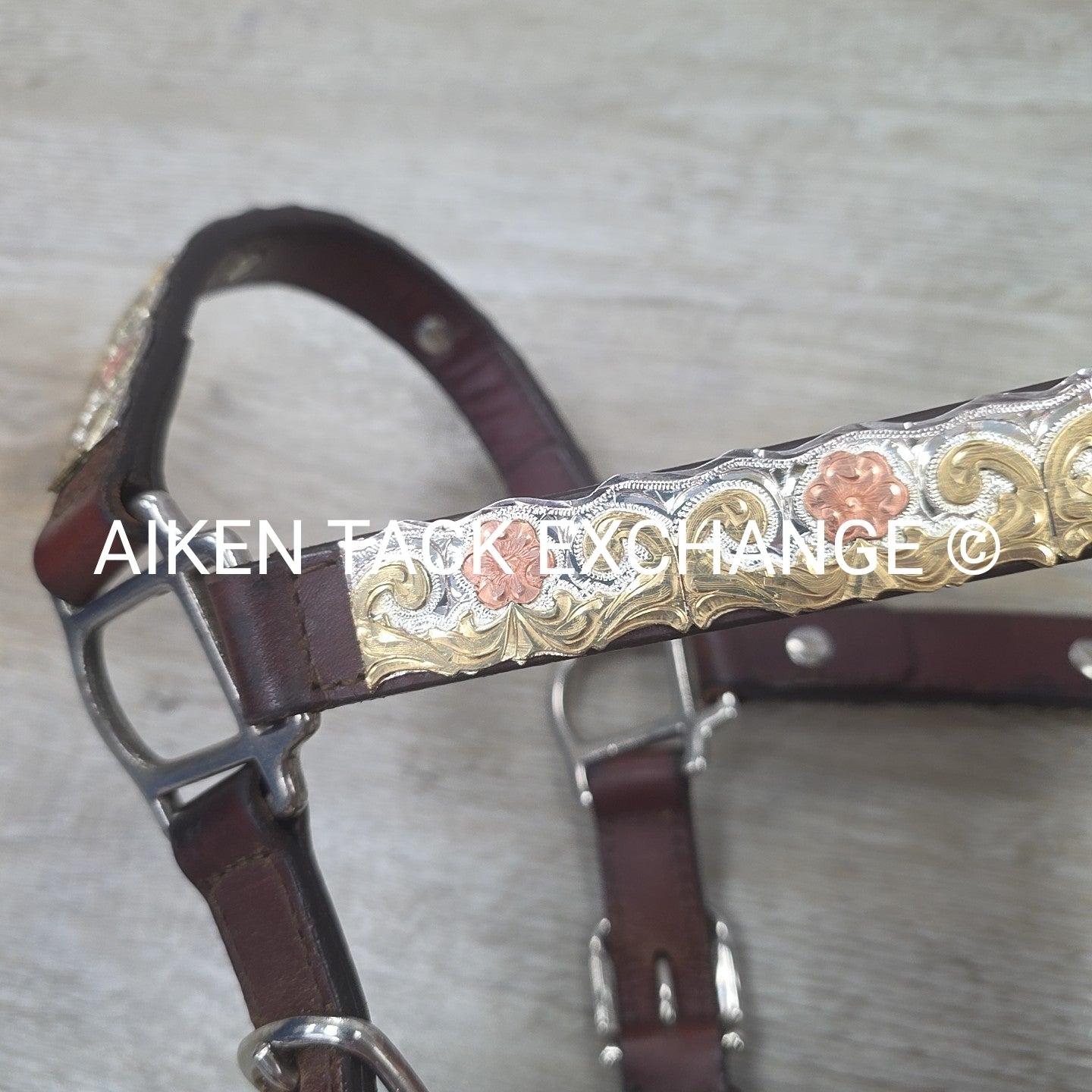 Western Show Halter, Size Full