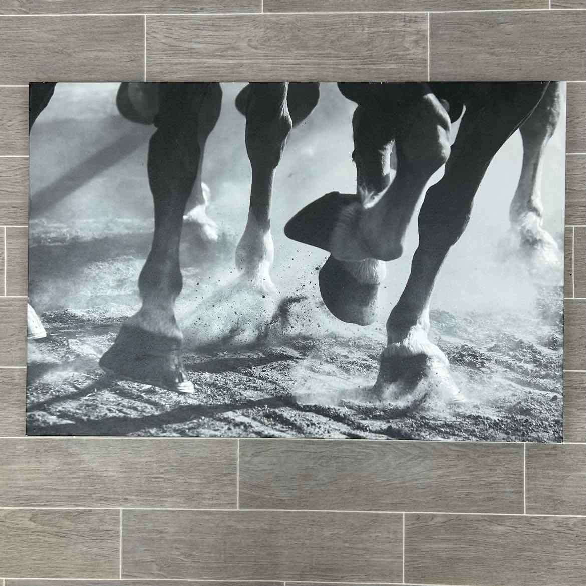 Photograph on Canvas: 36" x 24"