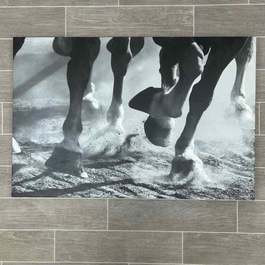 Photograph on Canvas: 36" x 24"