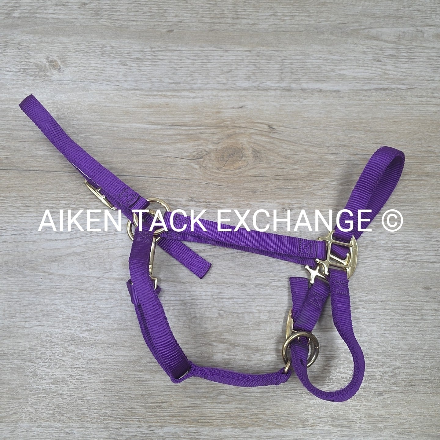 Weaver Leather Nylon Halter, Size Medium Arab