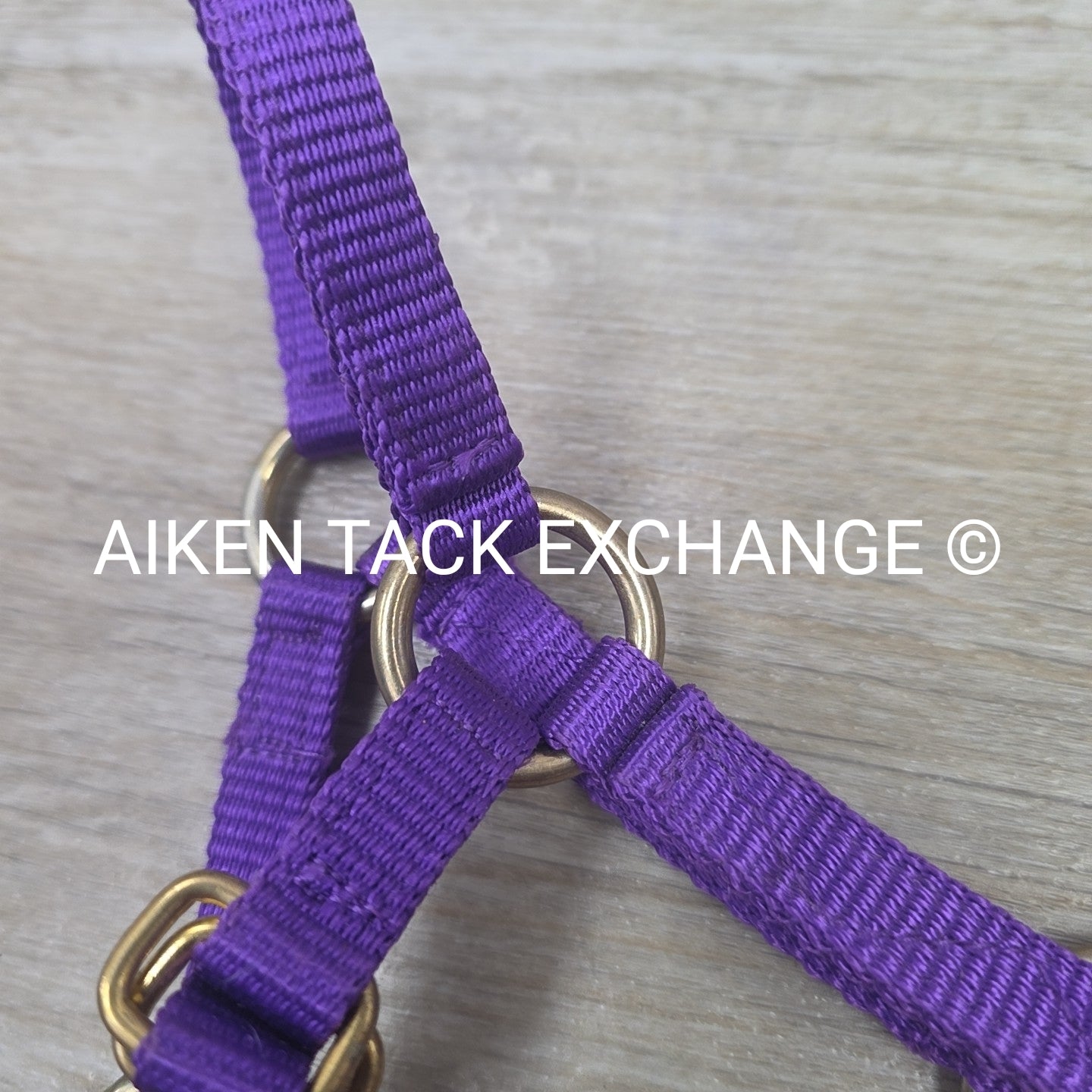 Tough1 Adjustable Nylon Halter, Medium Mini