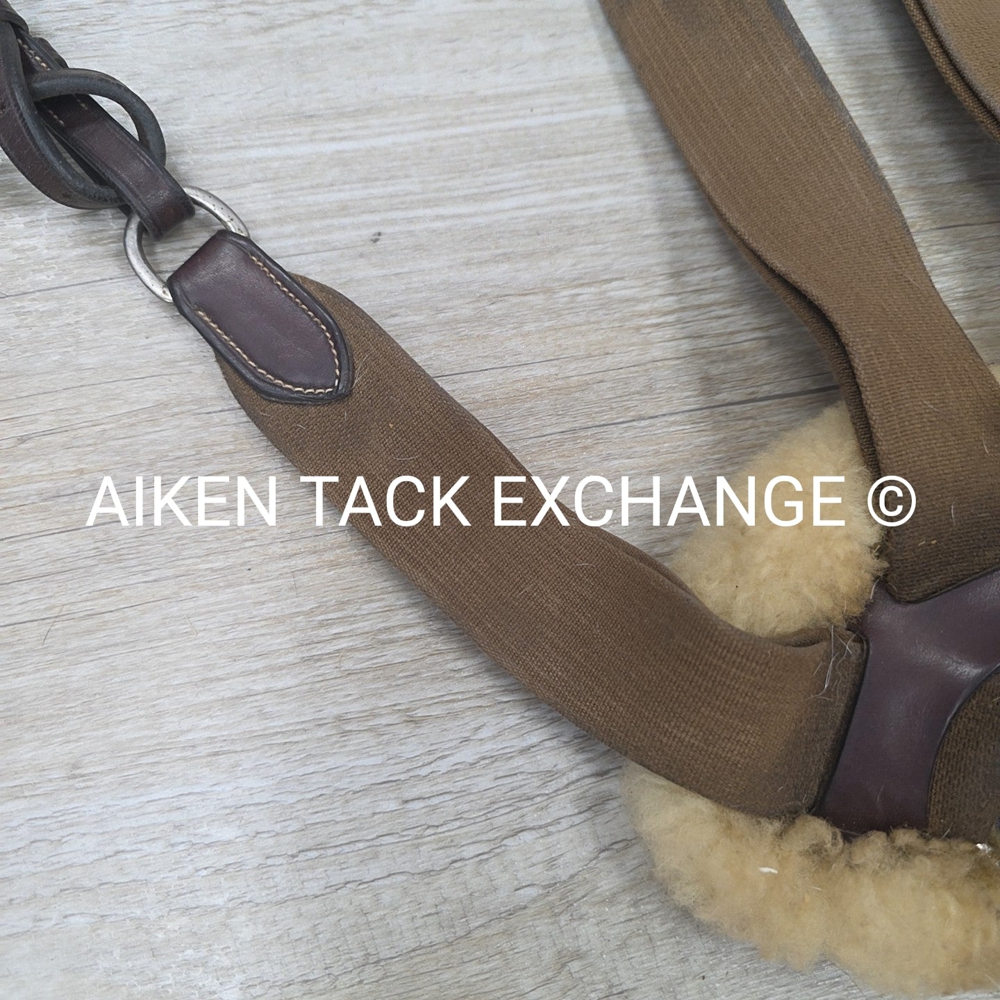 BARGAIN BUNDLE: Nunn Finer 5 Point Breastplate, Bridle, Reins, Flash Attachment,