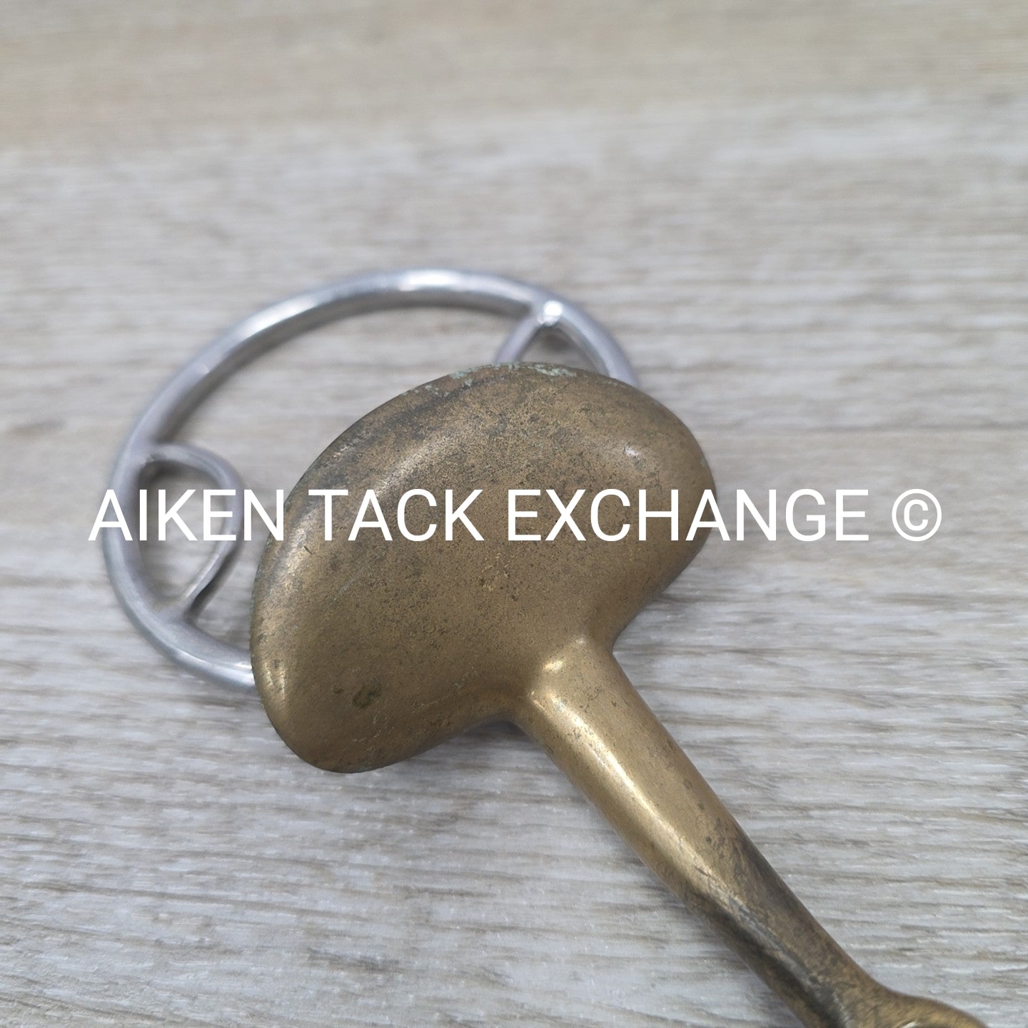 Stubben Golden Wings Double Joint Beval Loop Gag Bit 5.75"