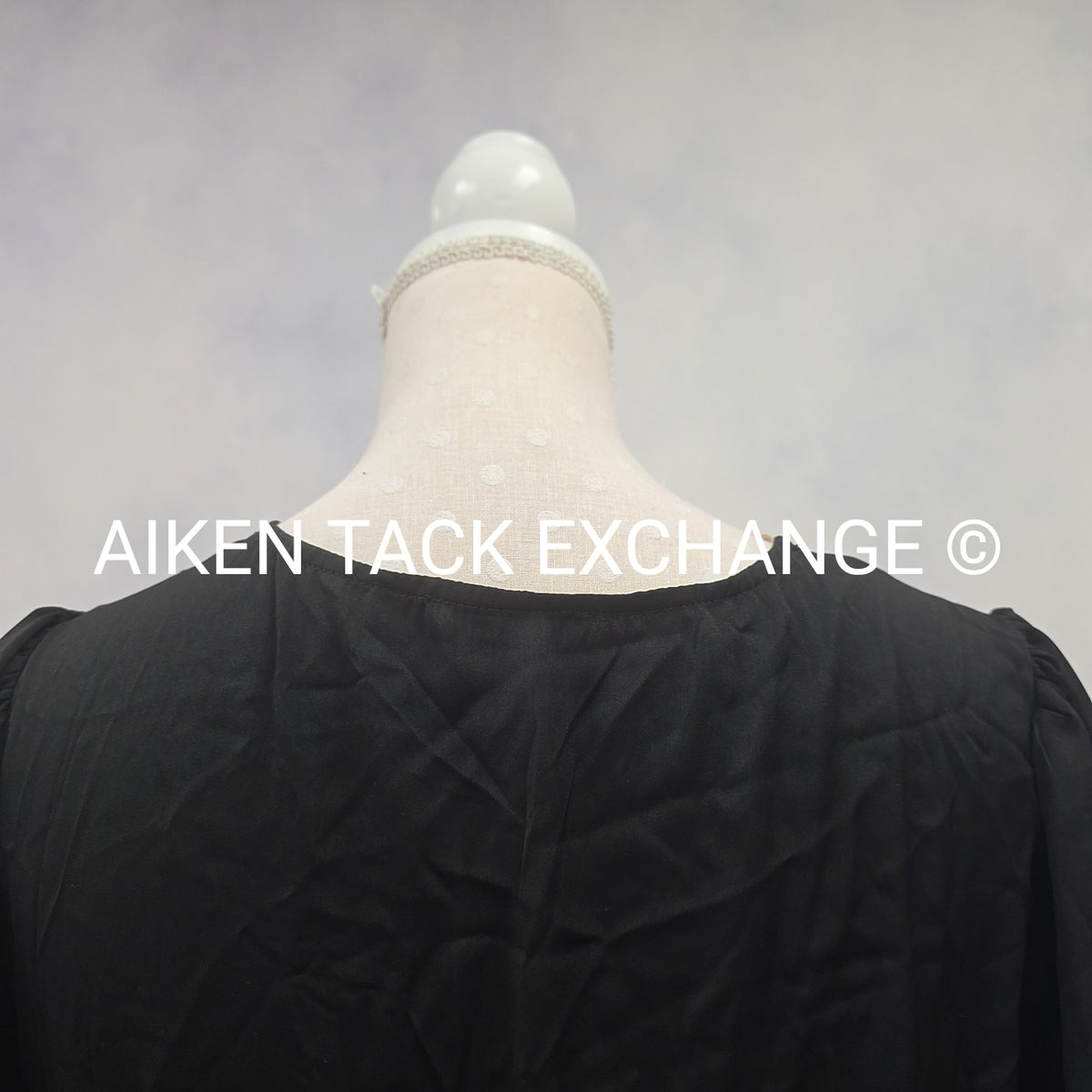 Venus Dress, Size 10
