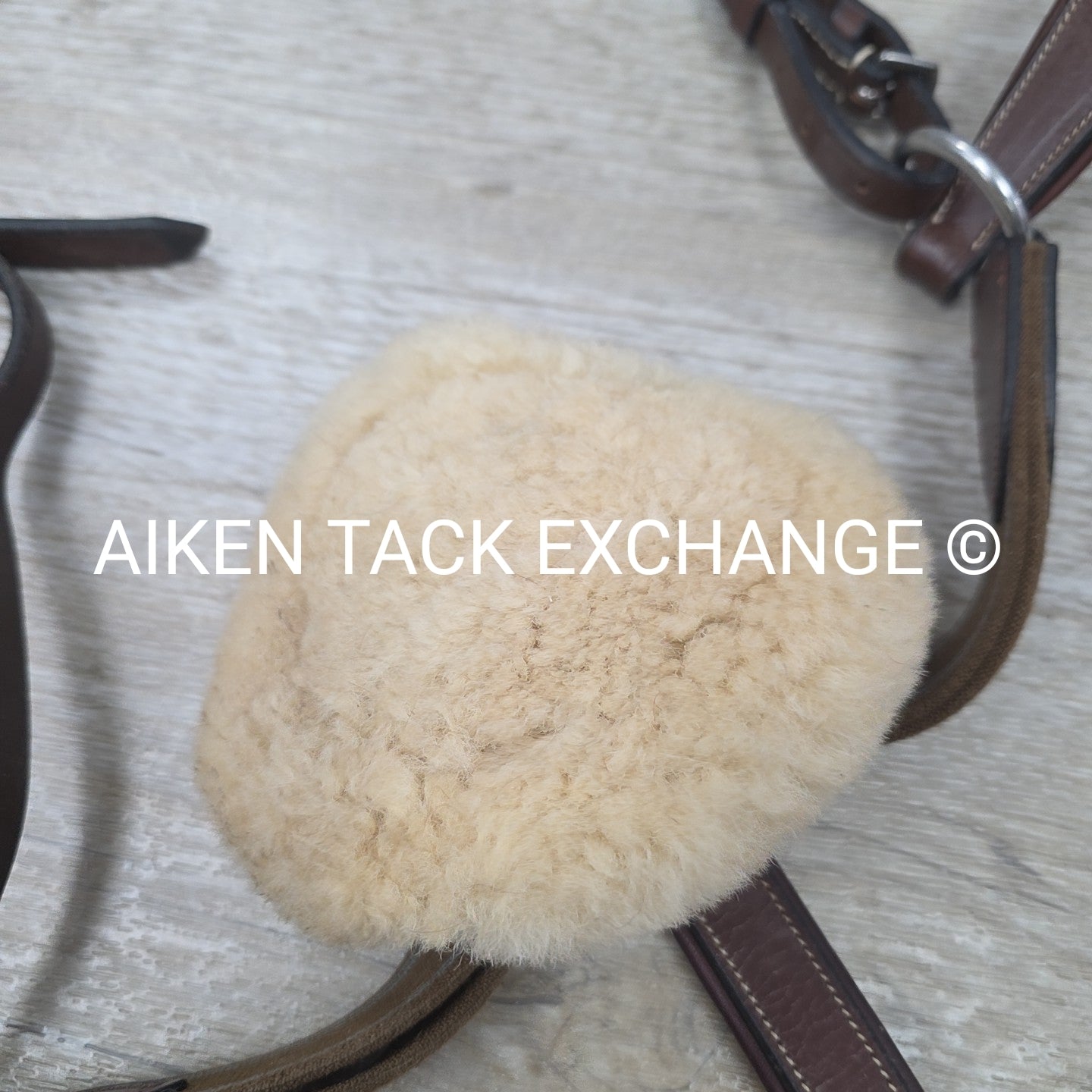 5 Point Elastic Breastplate, Brown, Size Cob