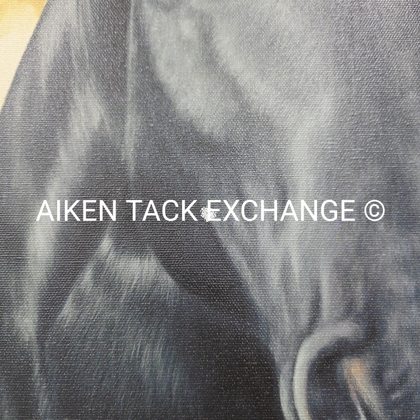 Horse Print on Canvas, 25.5" x 31.5"