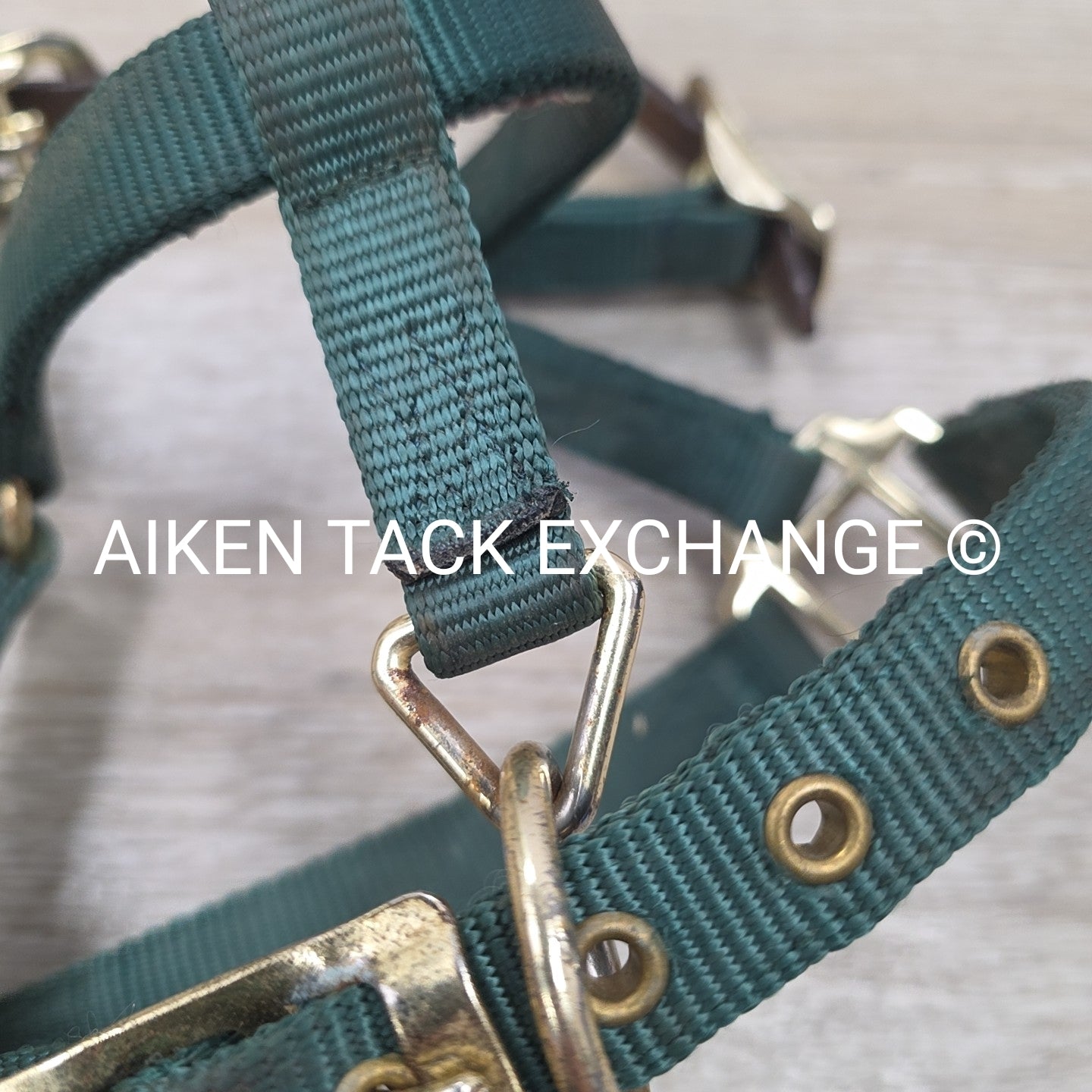 Hamilton Nylon Breakaway Halter, Size Foal