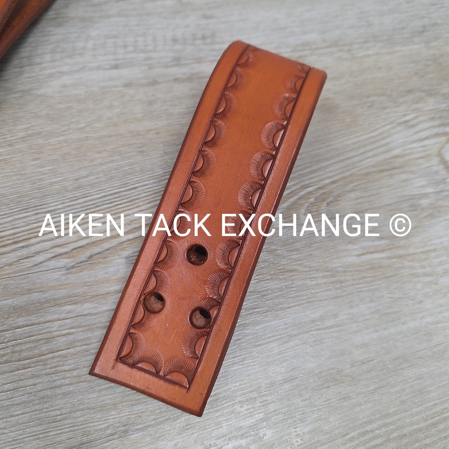 Rear Cinch Billets with Extenders