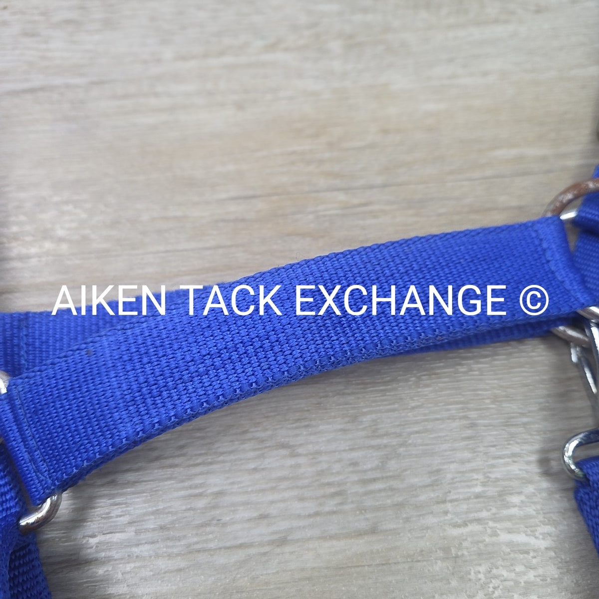 Nylon Halter, Draft