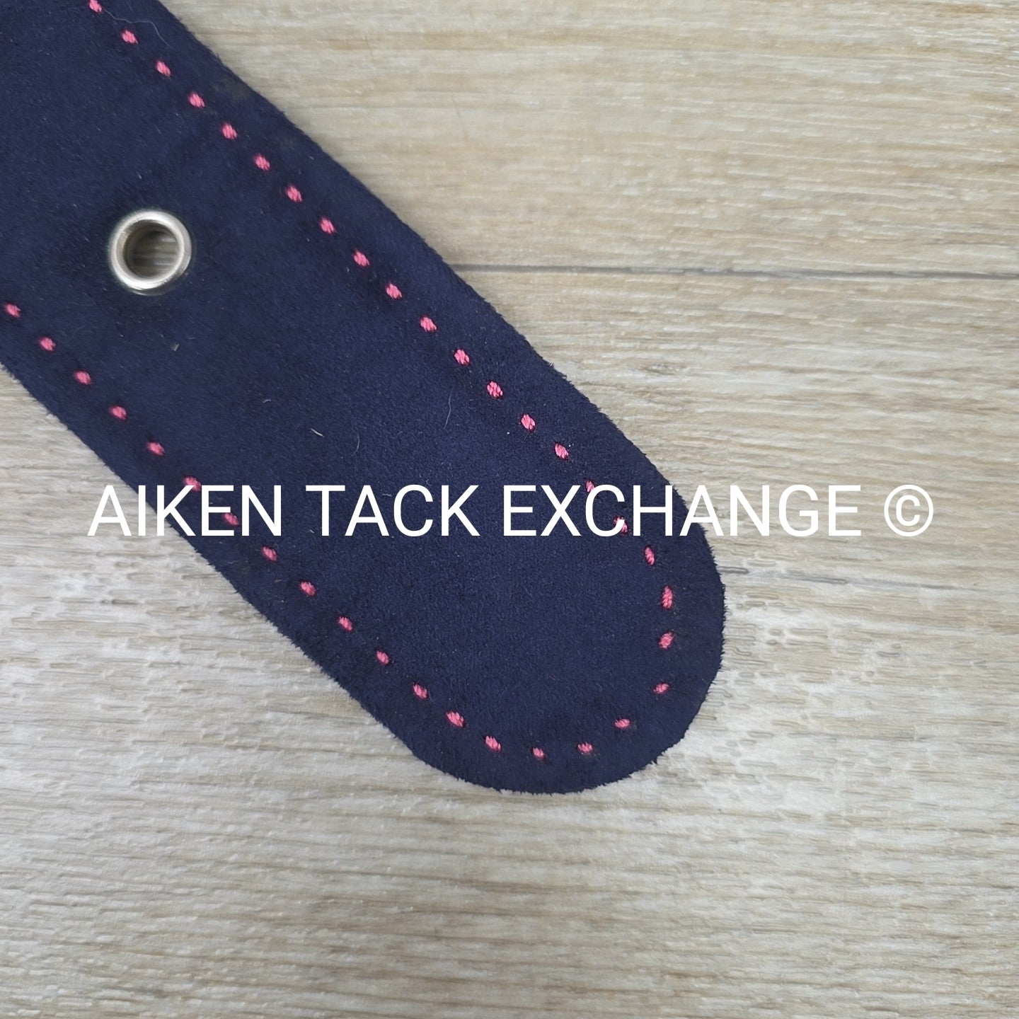 Women's Medium Equine Couture Suede Belt, Navy with Pink Stitching