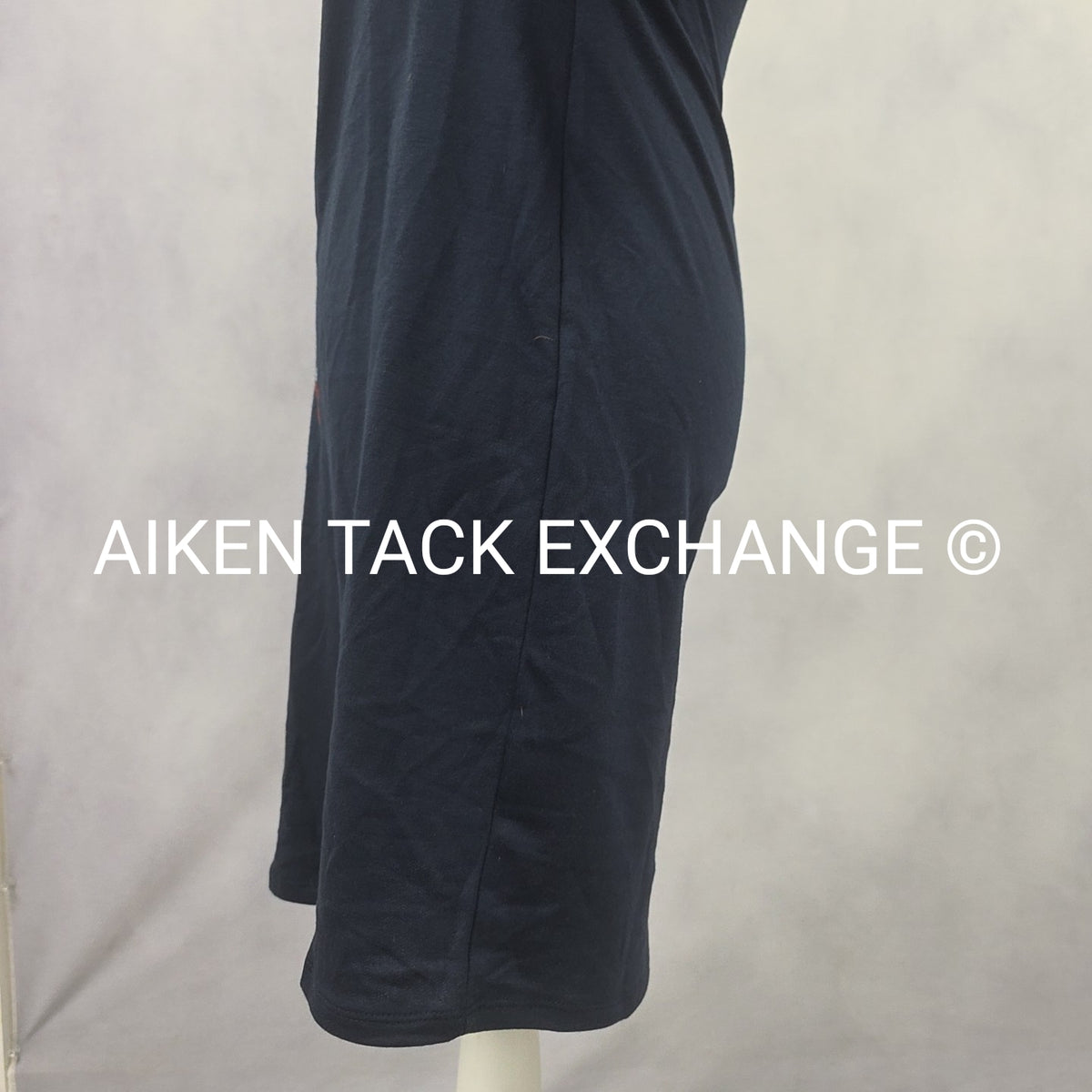 Venus Dress, Size X-Small