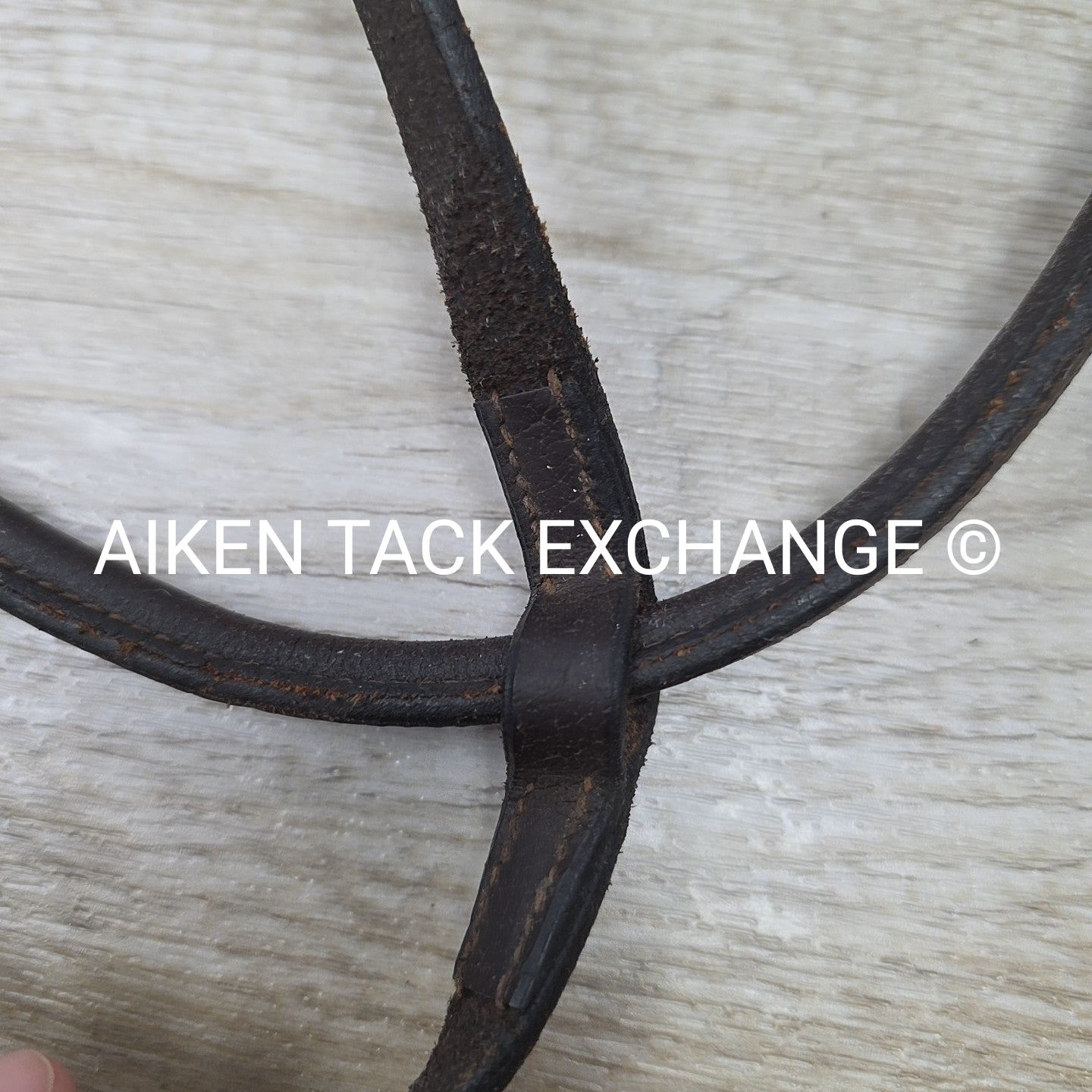 Plain Raised Standing Martingale, Brown, Size Cob