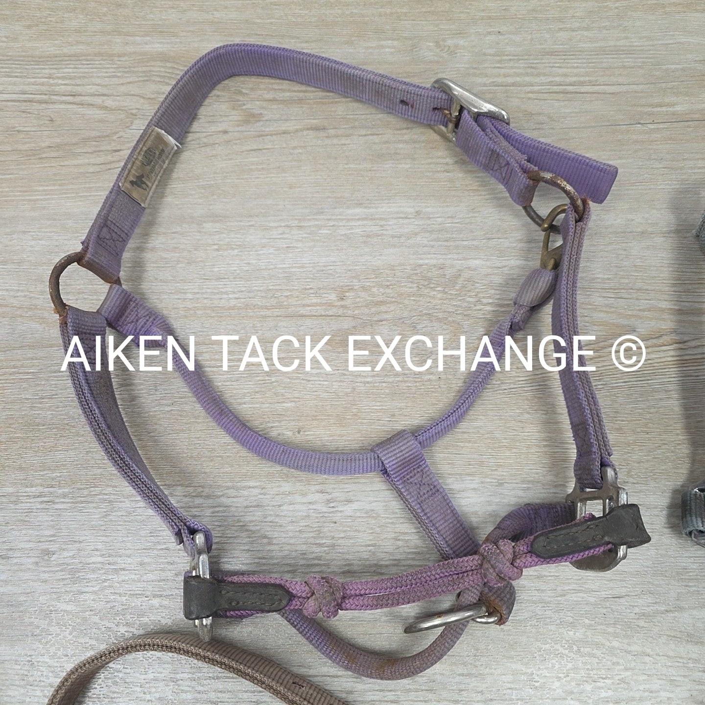 BARGAIN BUNDLE 4 Weaver Leather Nylon Halters, Size Horse