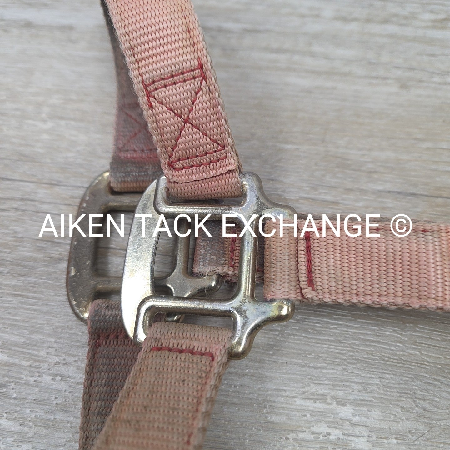 BARGAIN BUNDLE: Nylon Halter, Size Small with Lead Rope