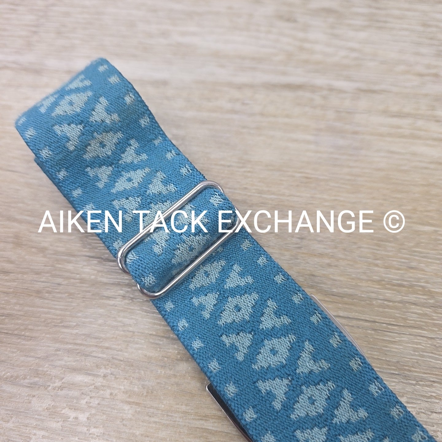 Ellany Silver Stirrup Elastic Belt