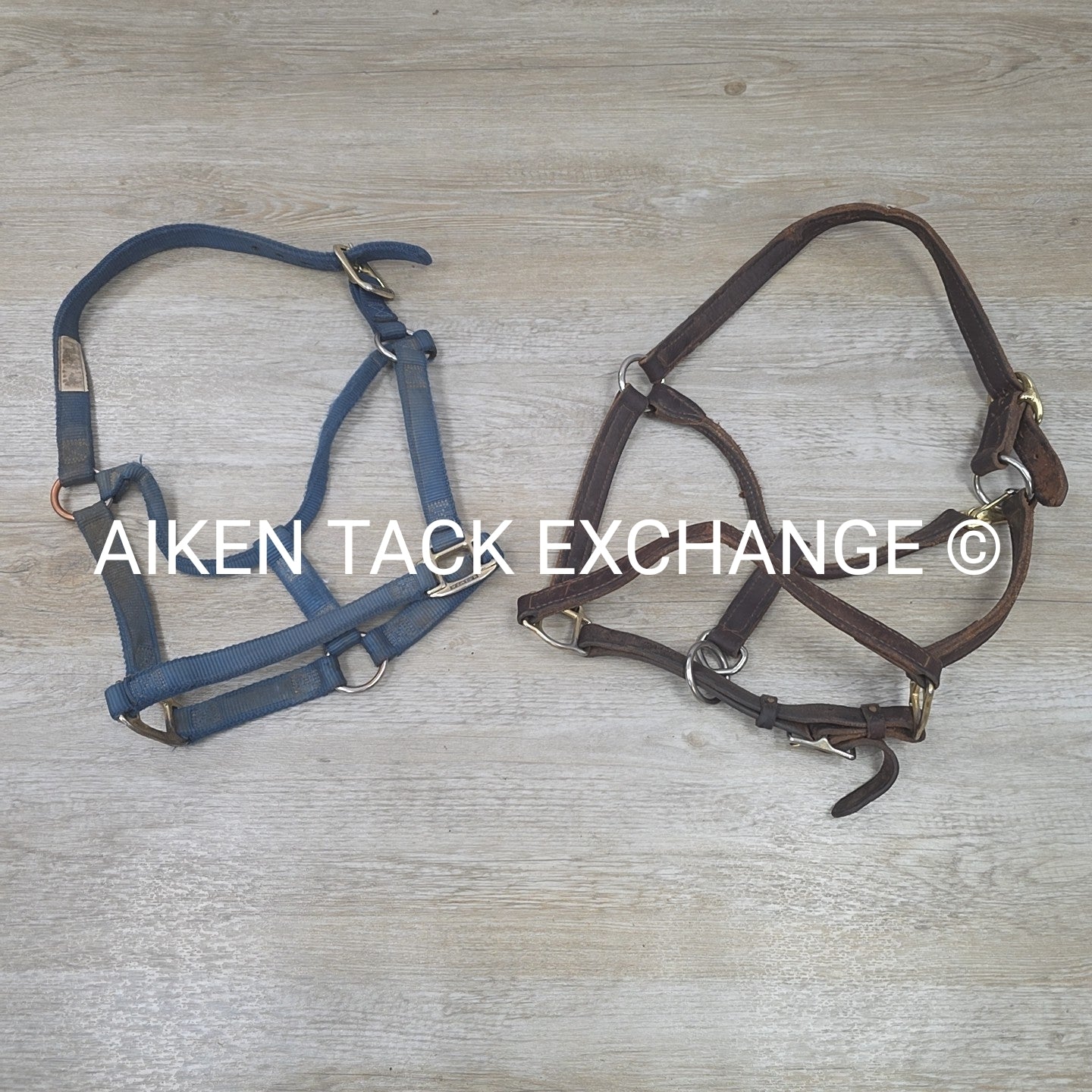 BARGAIN BUNDLE: Leather Halter & Nylon Halter, Size Full