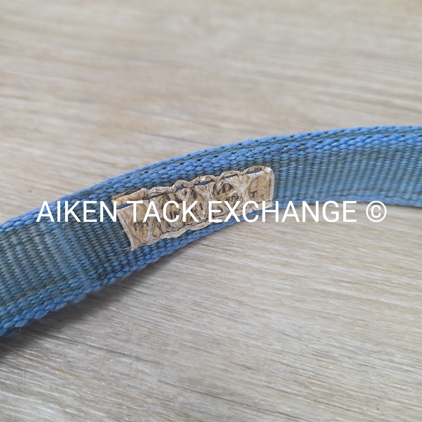 BARGAIN BUNDLE: 3 Nylon Halters, Various Sizes